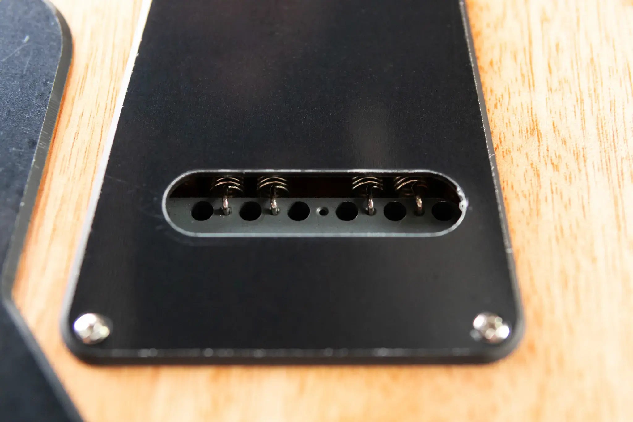 PRS Limited Edition SE Exotic Custom 24 Electric Guitar - Burled Ash with Gig Bag