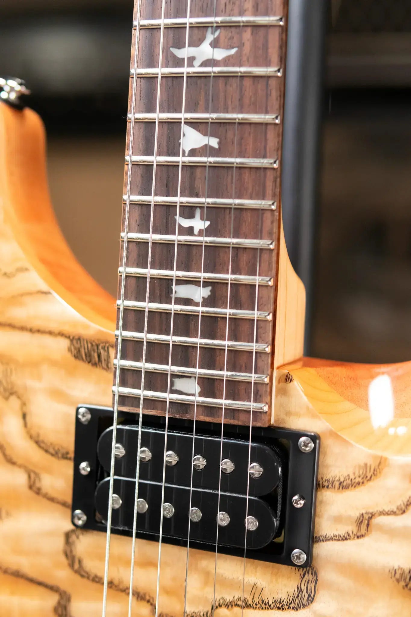 PRS Limited Edition SE Exotic Custom 24 Electric Guitar - Burled Ash with Gig Bag