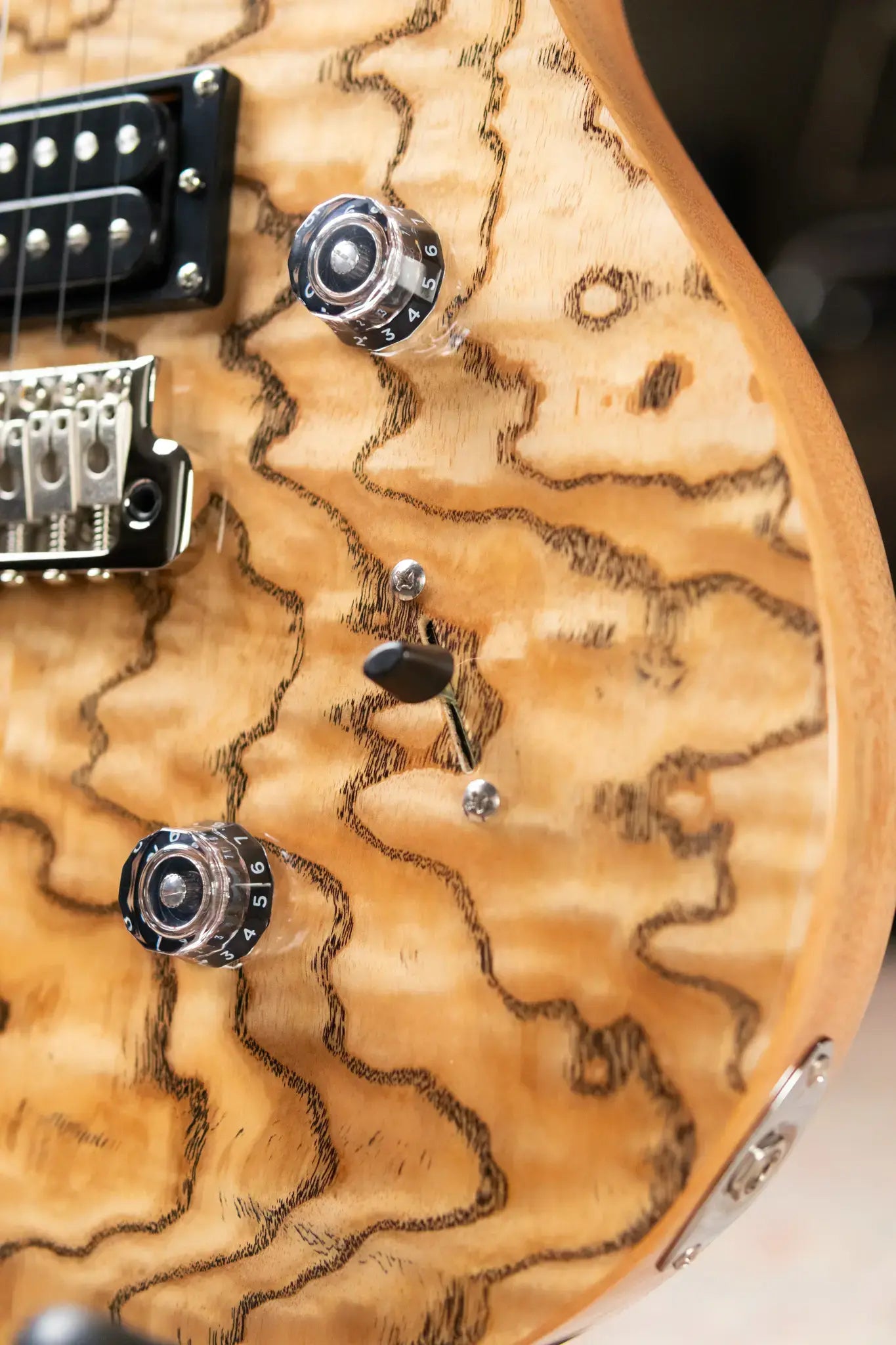 PRS Limited Edition SE Exotic Custom 24 Electric Guitar - Burled Ash with Gig Bag