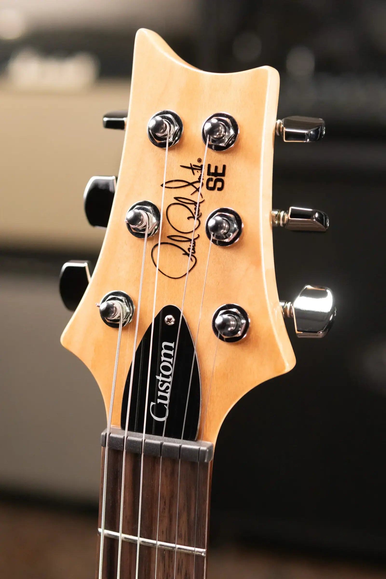 PRS Limited Edition SE Exotic Custom 24 Electric Guitar - Burled Ash with Gig Bag