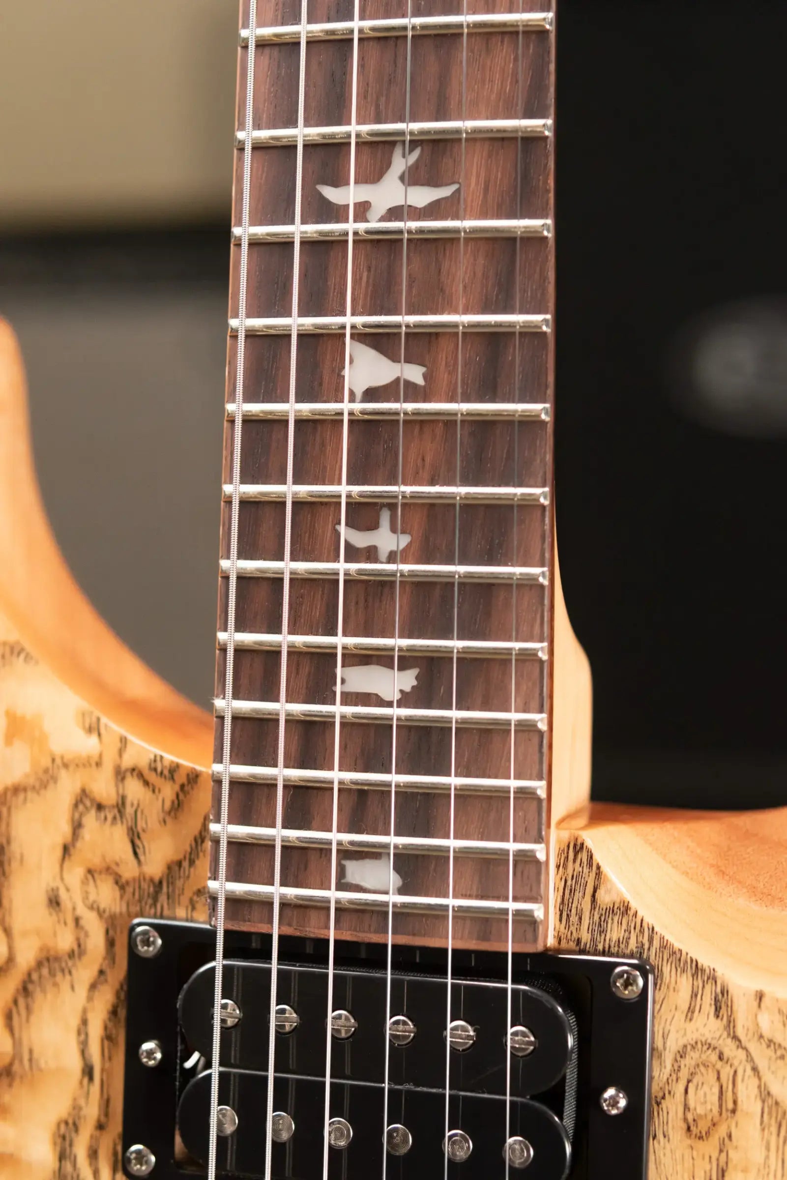 PRS Limited Edition SE Exotic Custom 24 Electric Guitar - Burled Ash with Gig Bag