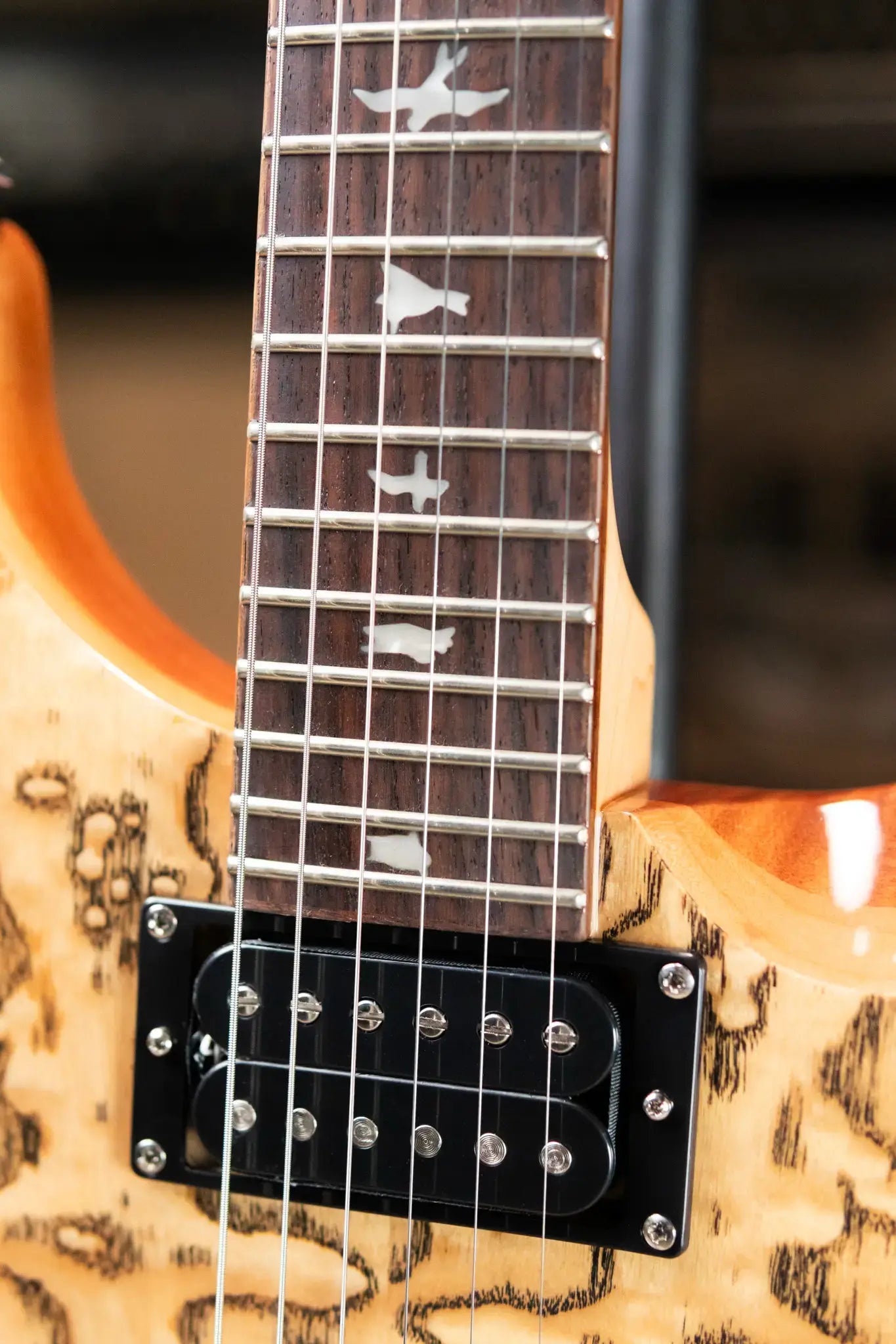 PRS Limited Edition SE Exotic Custom 24 Electric Guitar - Burled Ash with Gig Bag