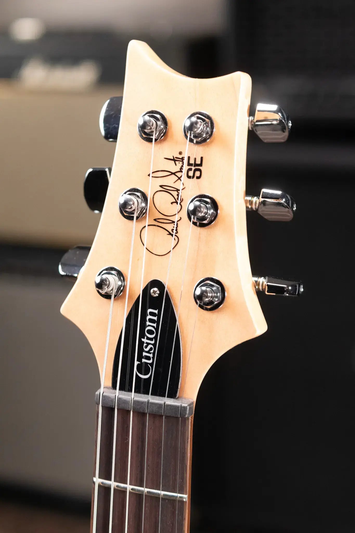 PRS Limited Edition SE Exotic Custom 24 Electric Guitar - Burled Ash with Gig Bag