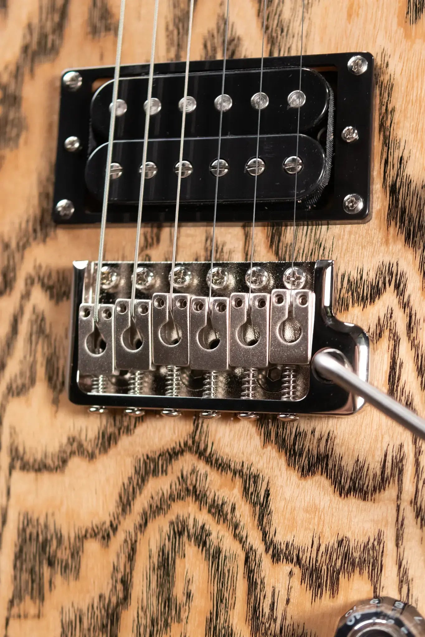 PRS Limited Edition SE Exotic Custom 24 Electric Guitar - Burled Ash with Gig Bag