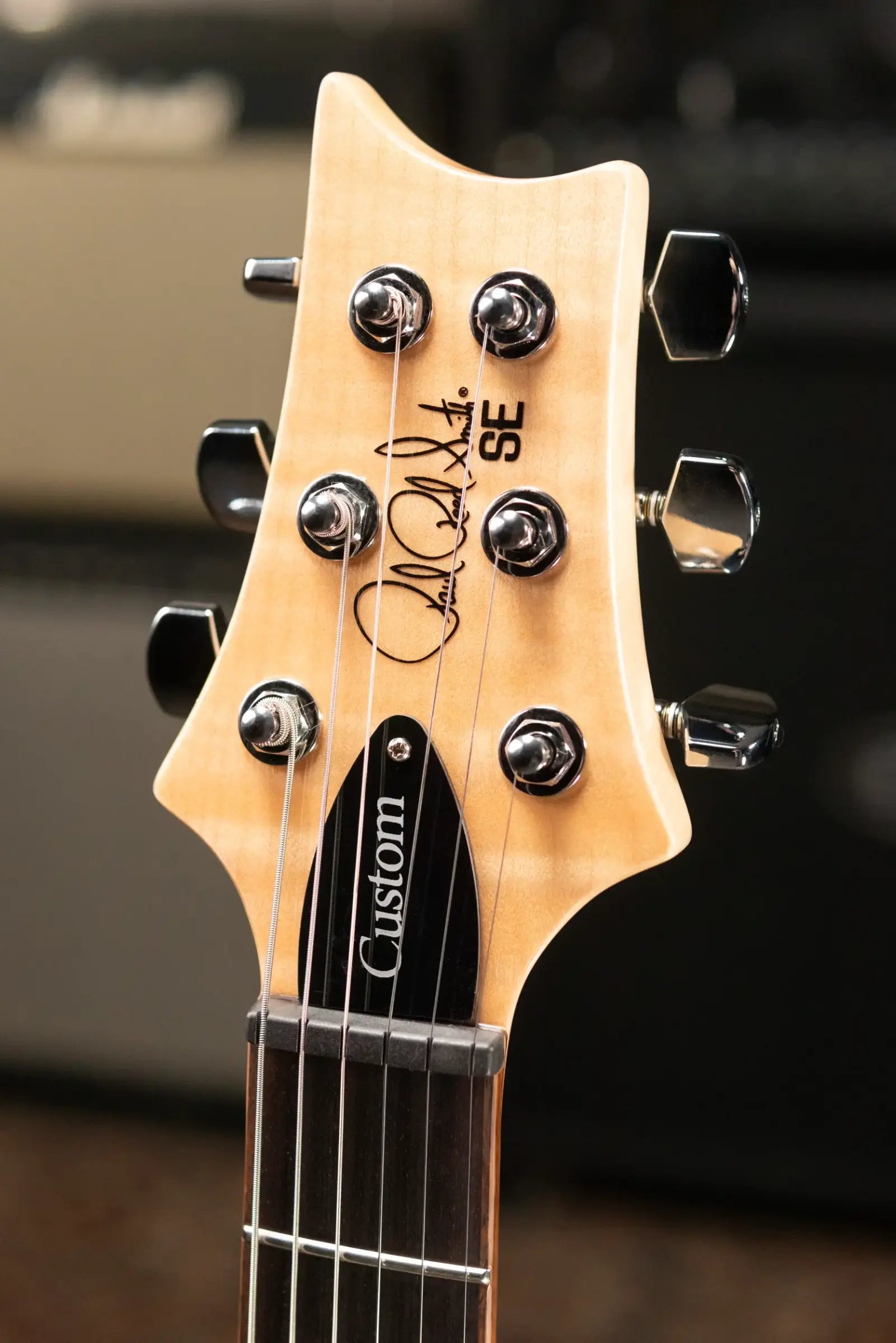 PRS Limited Edition SE Exotic Custom 24 Electric Guitar - Lake Blue with Gig Bag