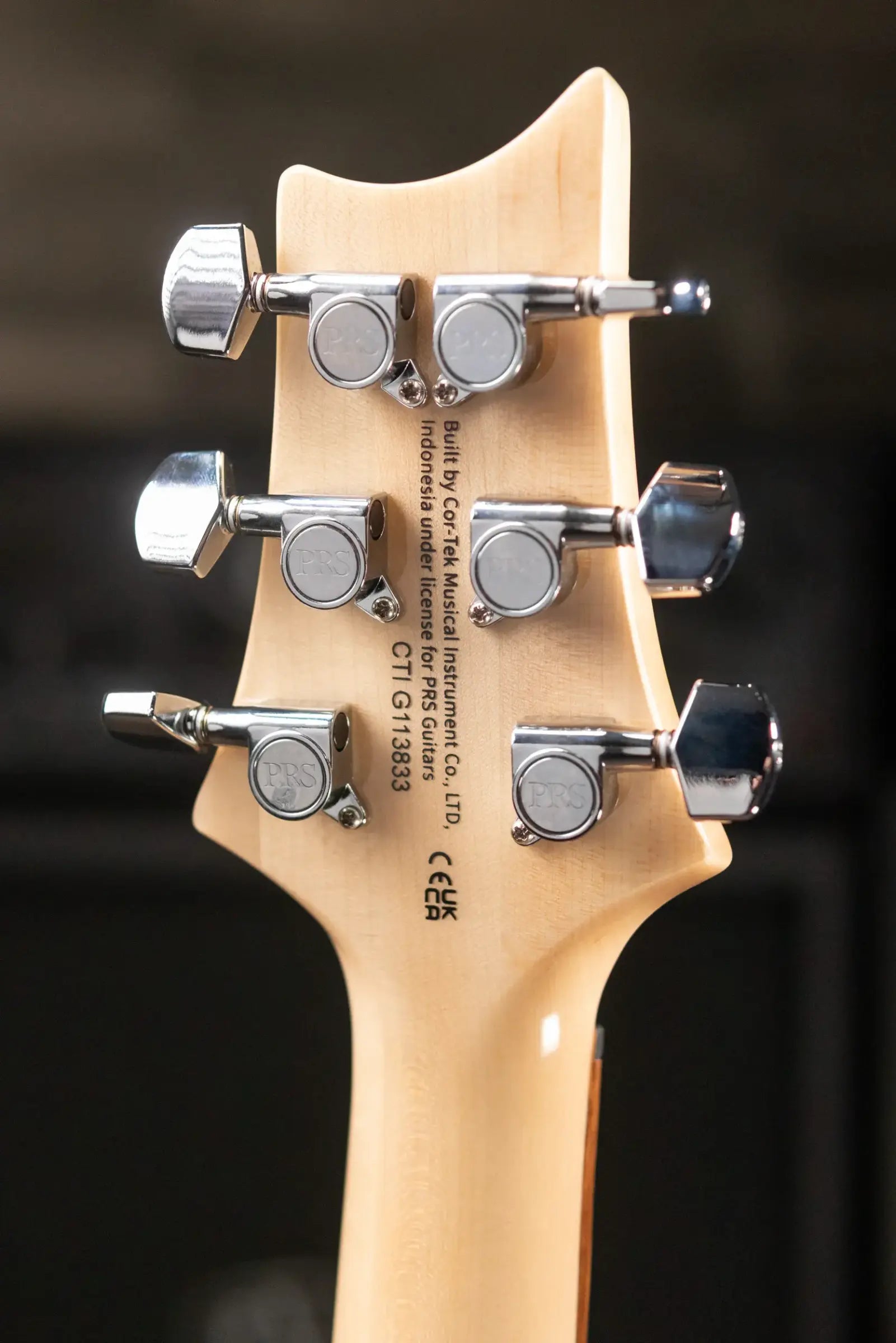 PRS Limited Edition SE Exotic Custom 24 Electric Guitar - Lake Blue with Gig Bag