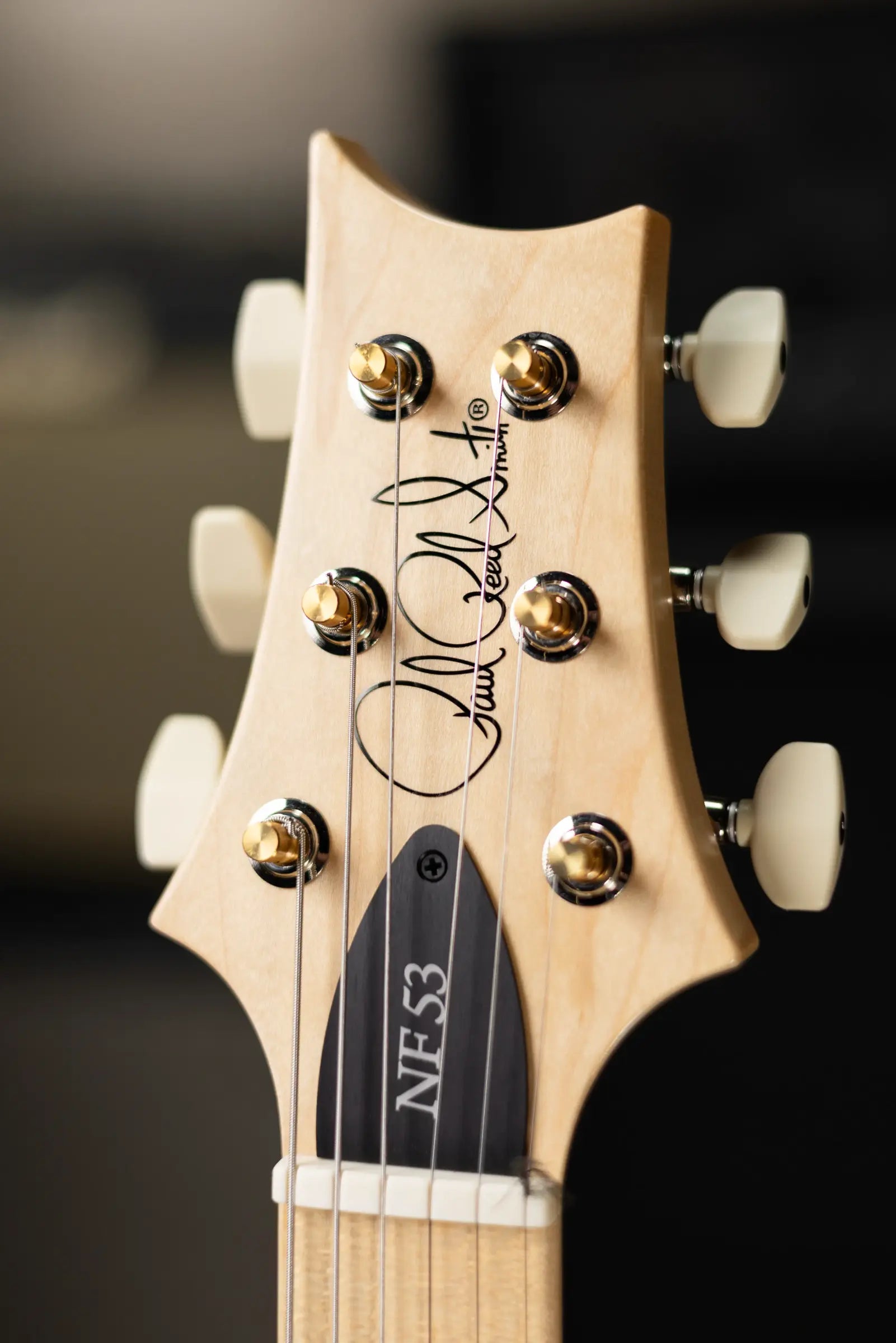 PRS NF-53 Satin Electric Guitar - Satin Frost Blue Metallic with Gig Bag