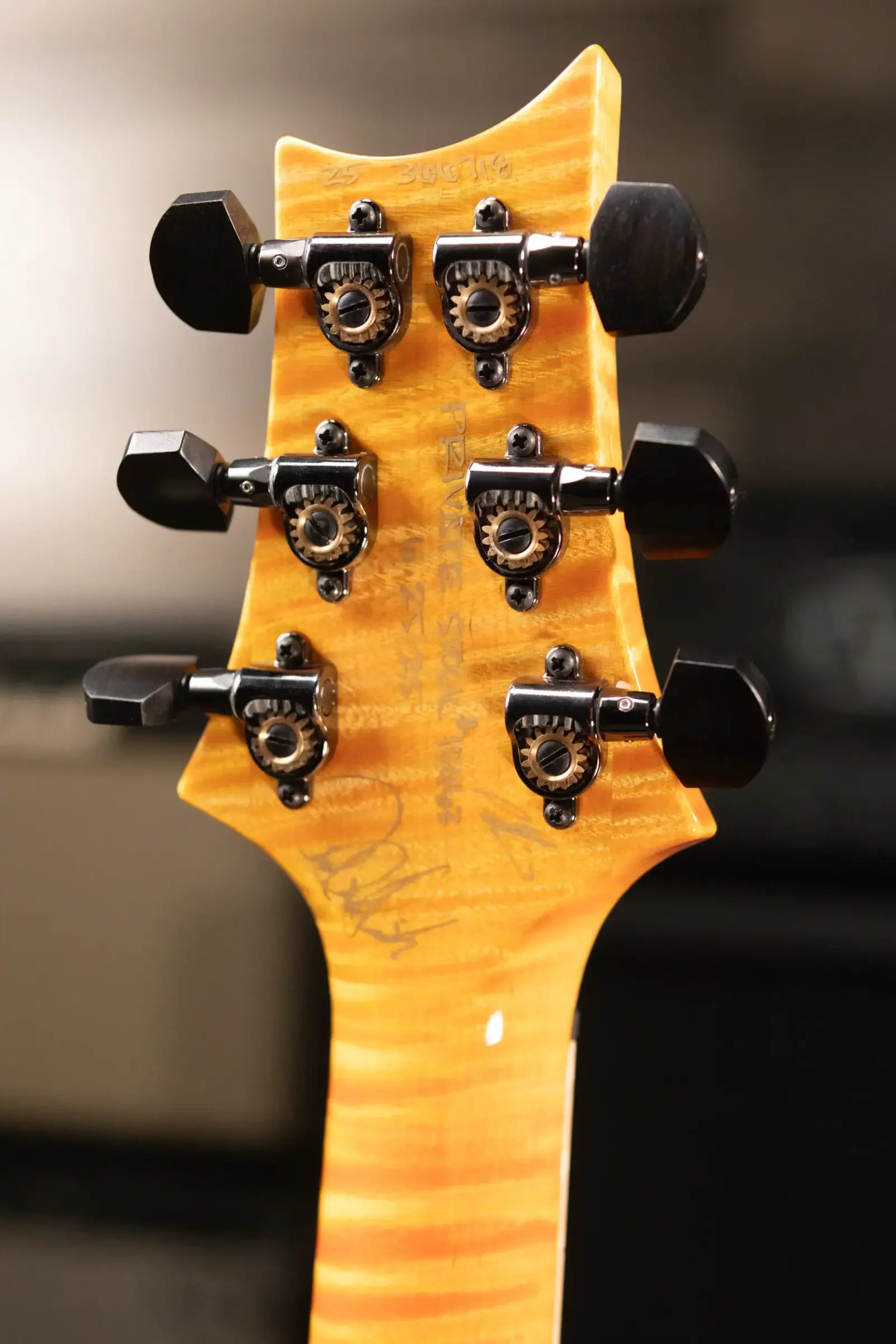 PRS Paul Reed Smith Private Stock Custom 24-08 Electric Guitar - Electric Tiger Glow with Hardshell Case