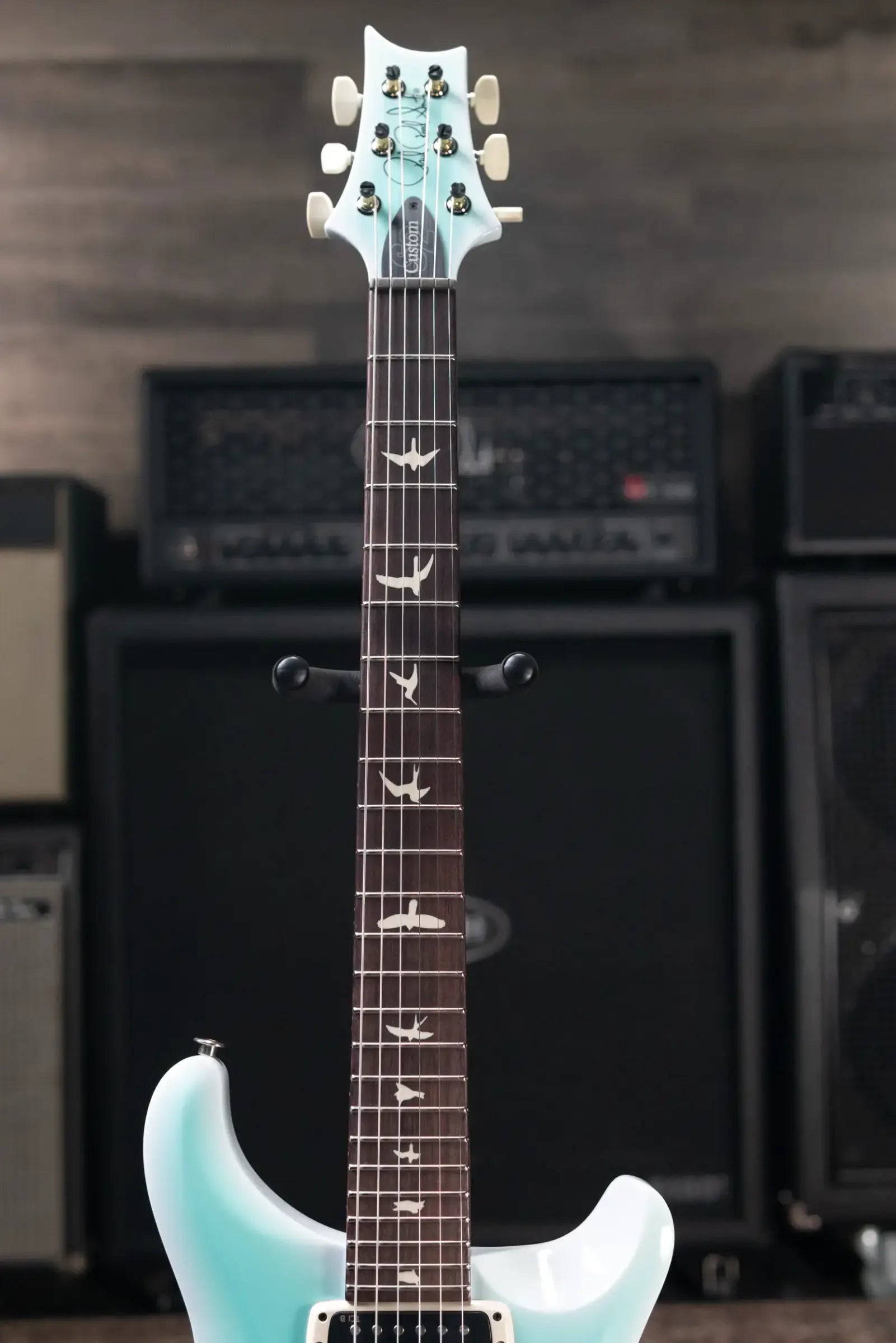 PRS S2 Custom 24-08 Electric Guitar - Sprayer's Choice with Gig Bag