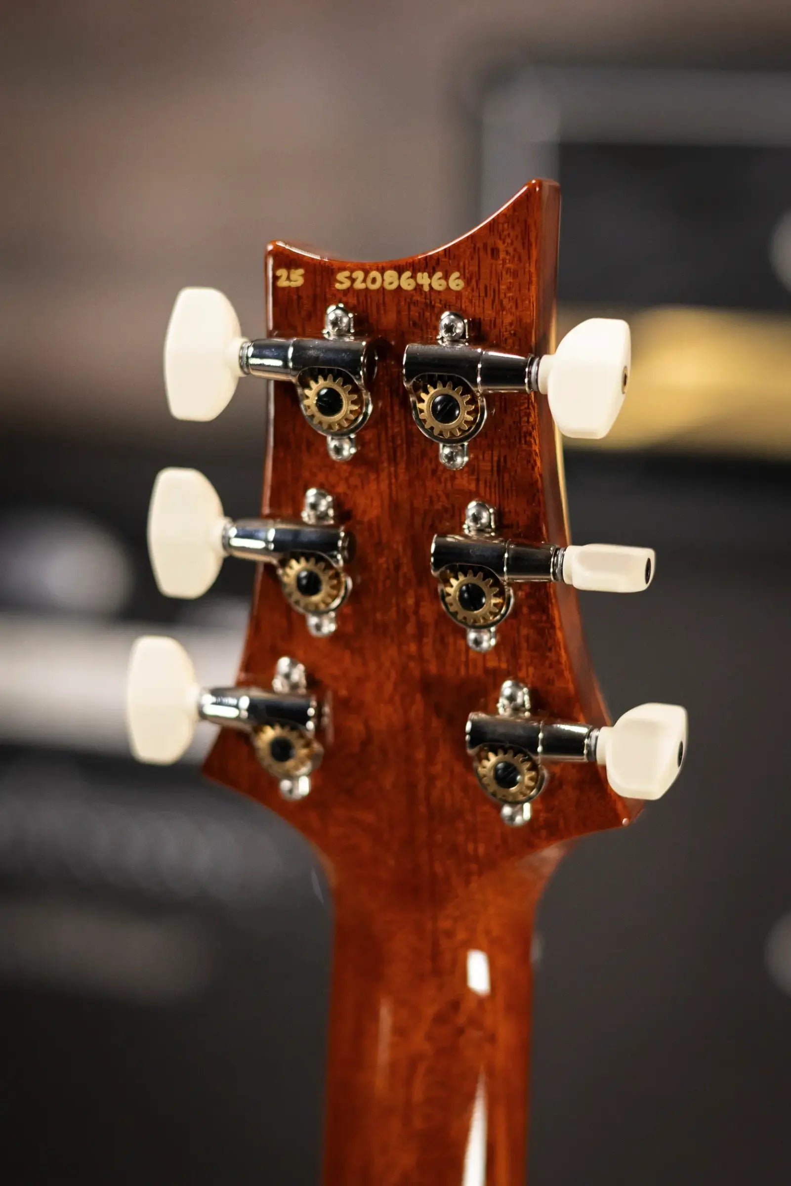 PRS S2 Custom 24 Electric Guitar - Vintage Natural with Gig Bag