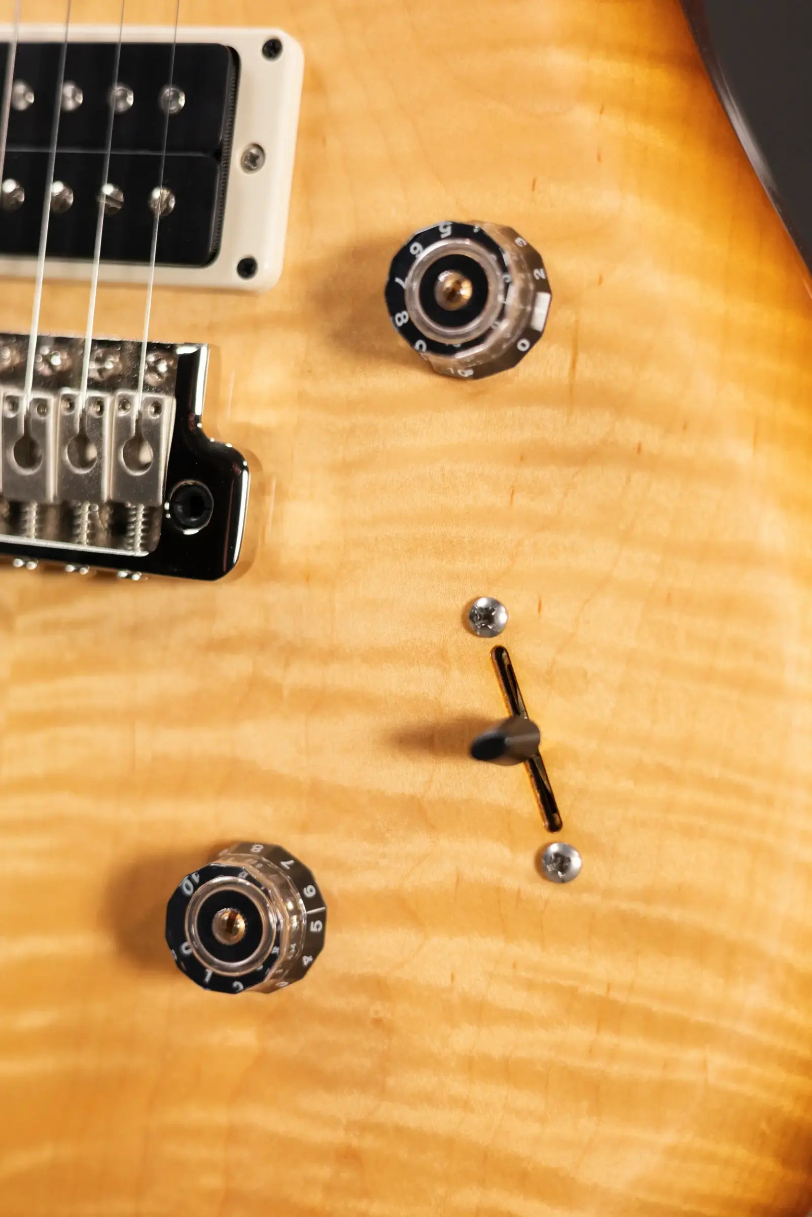 PRS S2 Custom 24 Electric Guitar - Vintage Natural with Gig Bag