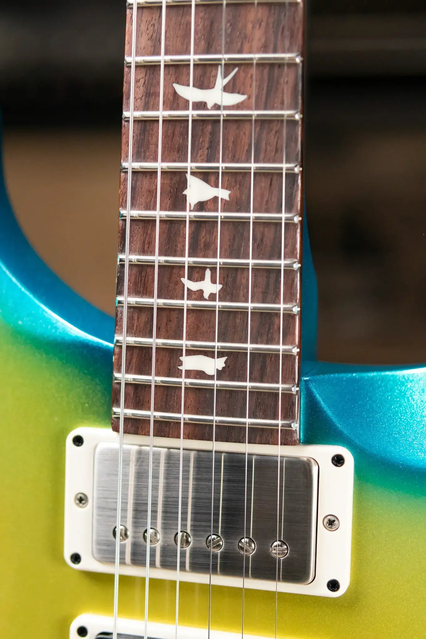 PRS S2 Special Semi-Hollow Electric Guitar - Sprayer's Choice with Gig Bag