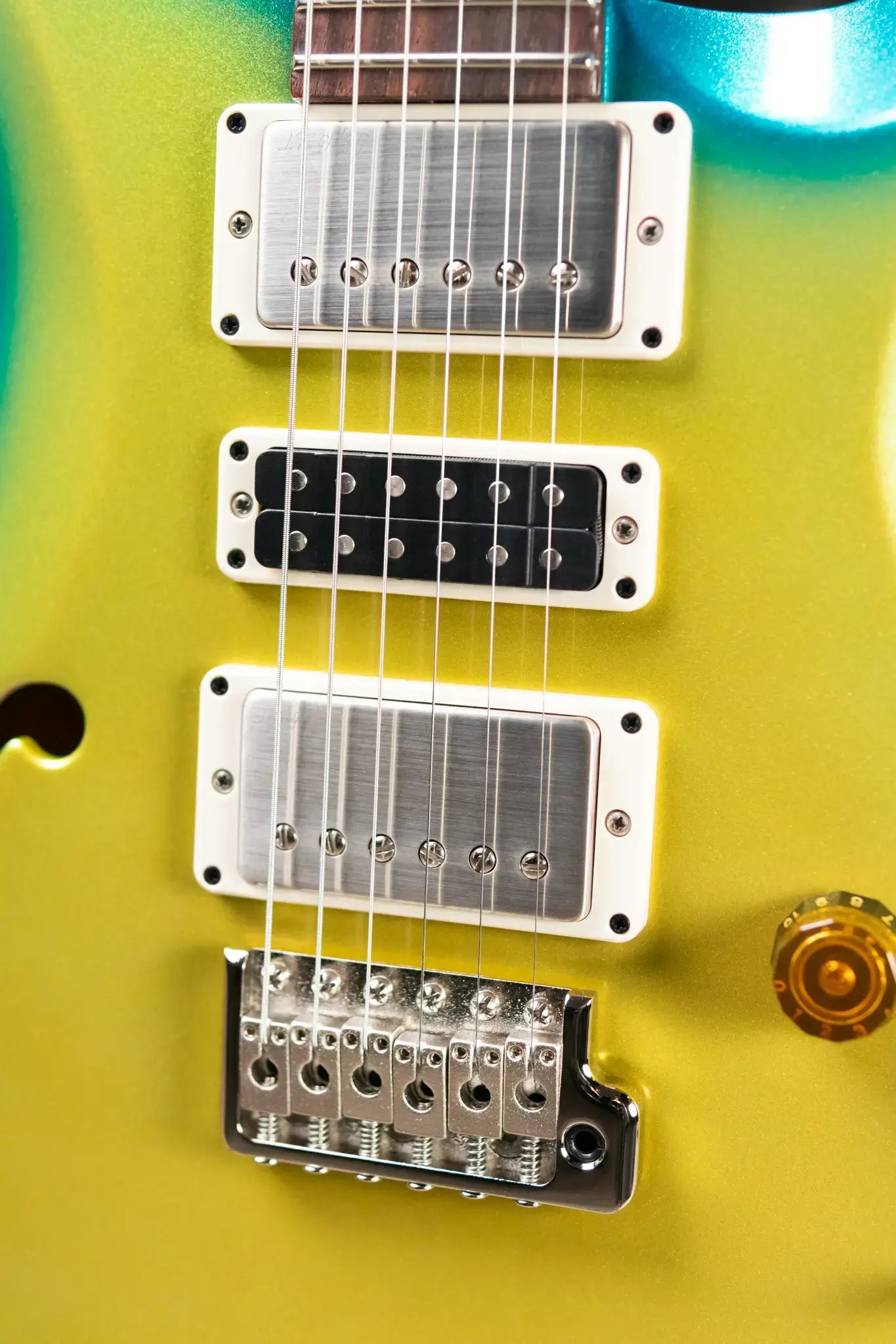 PRS S2 Special Semi-Hollow Electric Guitar - Sprayer's Choice with Gig Bag