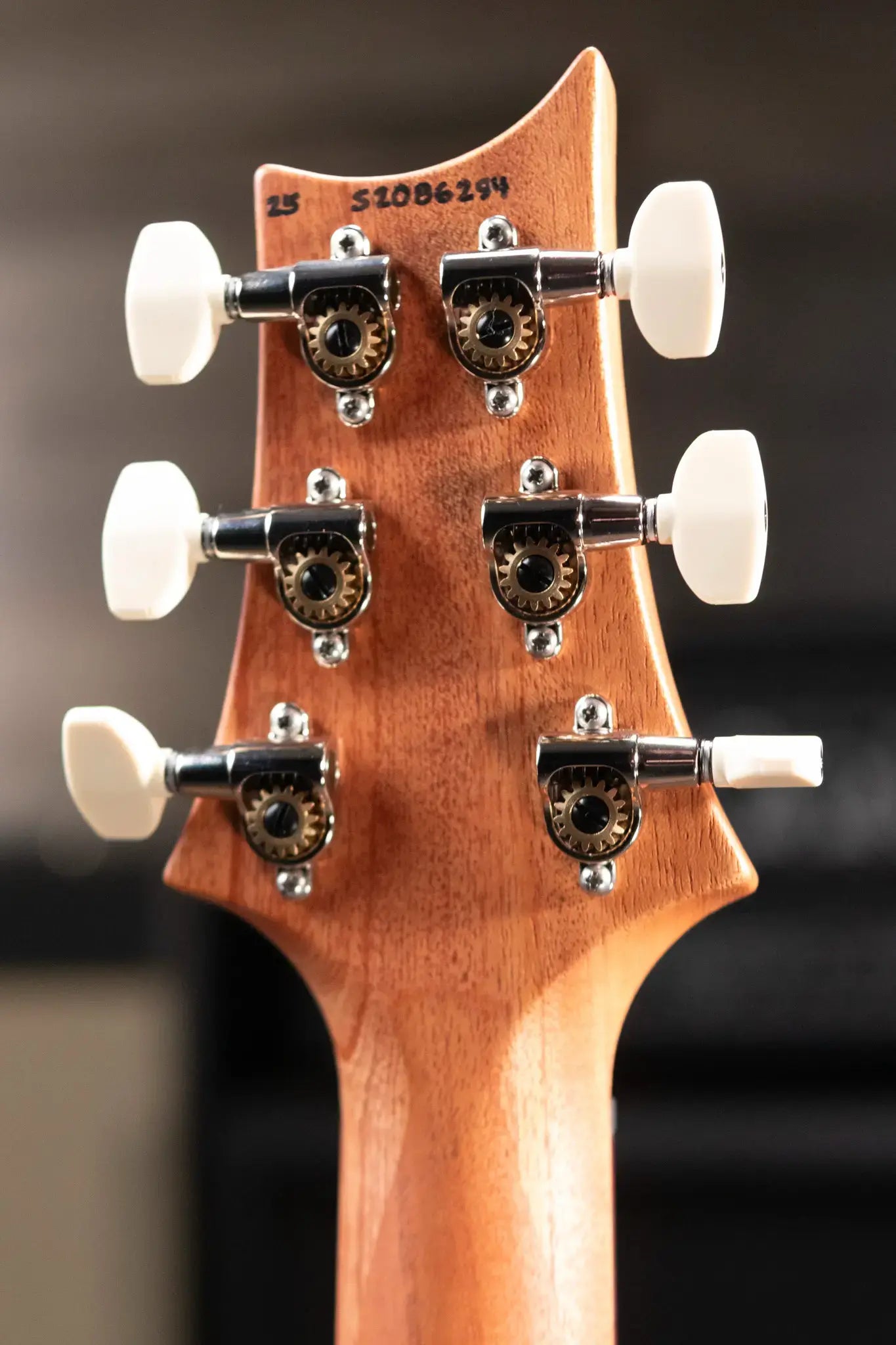 PRS S2 Special Semi-Hollow Reclaimed Limited Electric Guitar -Satin Natural with Gig Bag