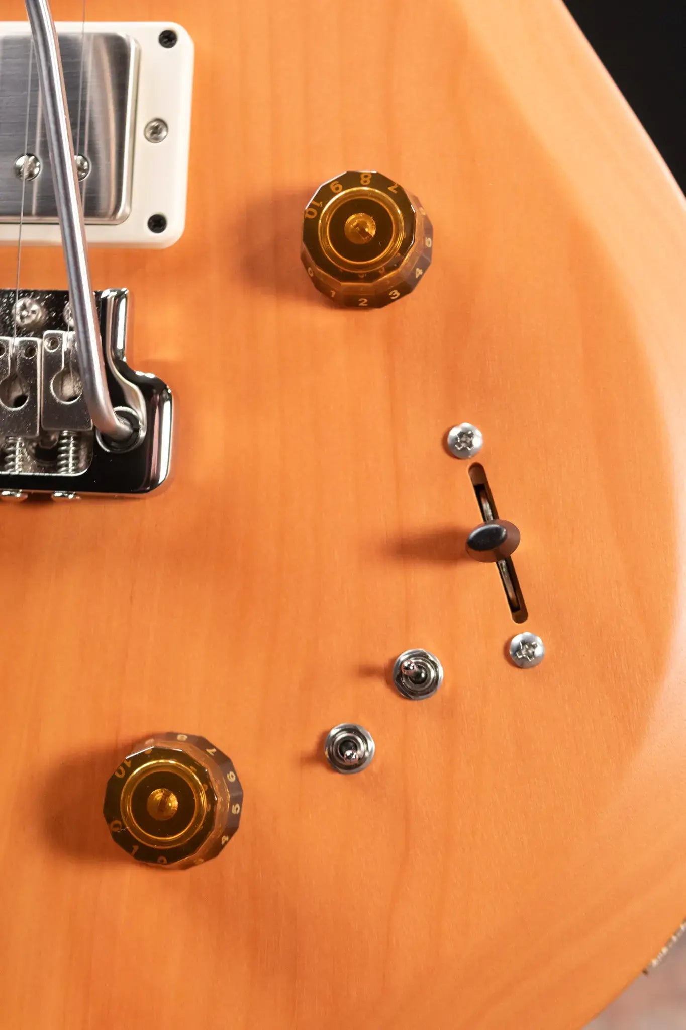 PRS S2 Special Semi-Hollow Reclaimed Limited Electric Guitar -Satin Natural with Gig Bag