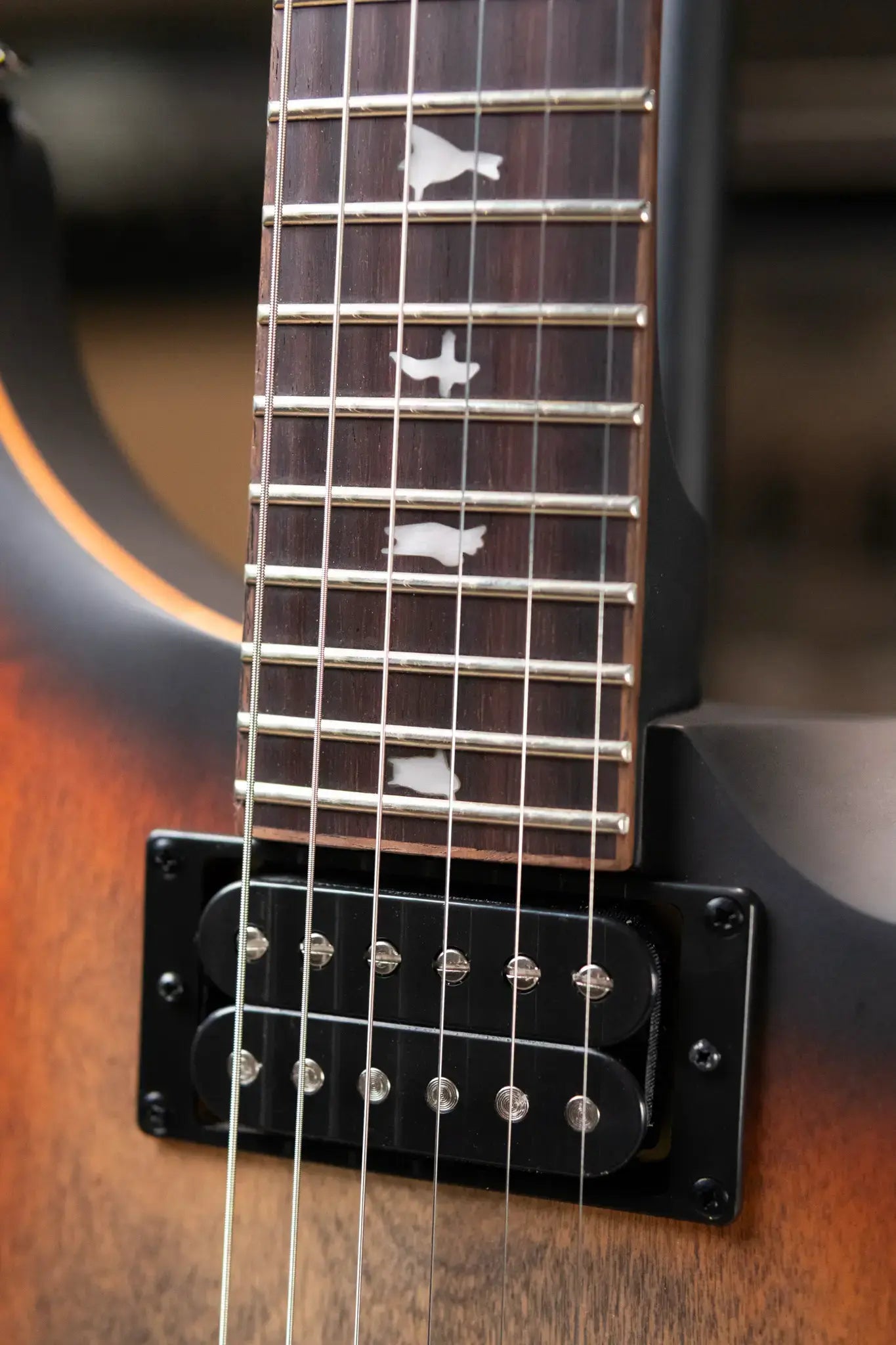 PRS SE "Exotic" Custom 24-08 Poplar Burl Electric Guitar - Charcoal Cherry Midnight Burst with Gig Bag