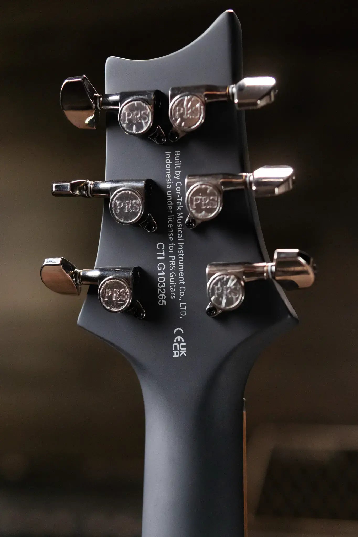 PRS SE "Exotic" Custom 24-08 Poplar Burl Electric Guitar - Lake Blue Midnight Burst with Gig Bag
