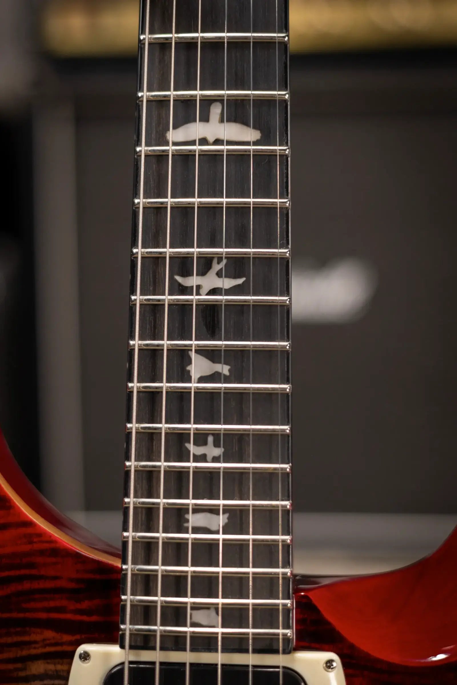 PRS SE "Floyd" Custom 24 Electric Guitar - Charcoal Cherry Burst with Gig Bag