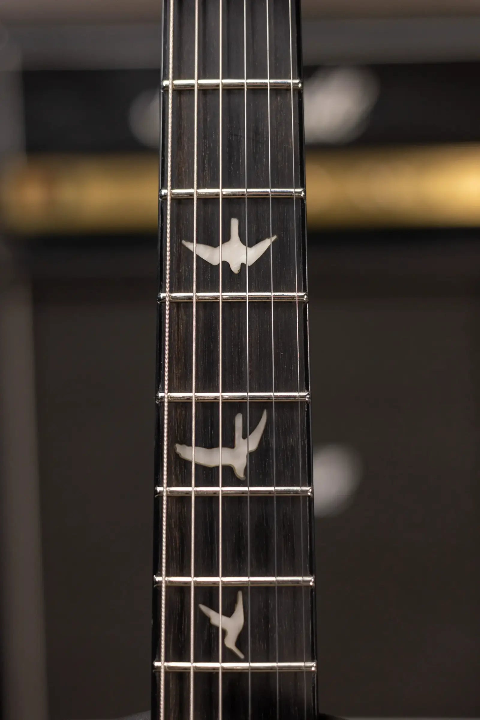 PRS SE "Floyd" Custom 24 Electric Guitar - Charcoal Cherry Burst with Gig Bag