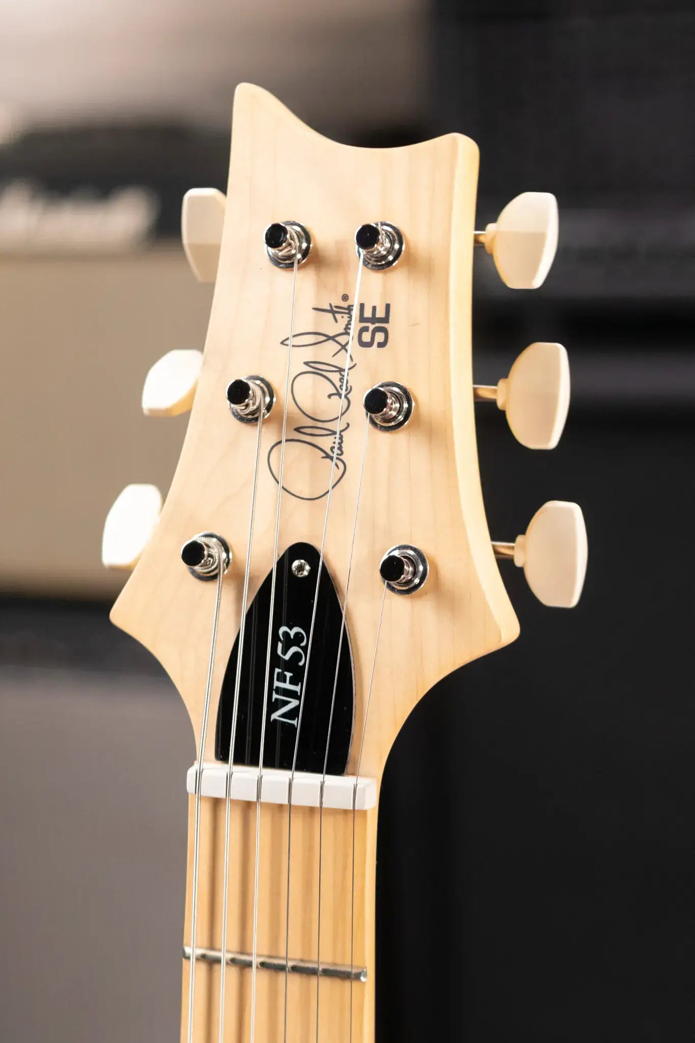 PRS SE NF53 Bolt-On Electric Guitar - Black Doghair with Gig Bag