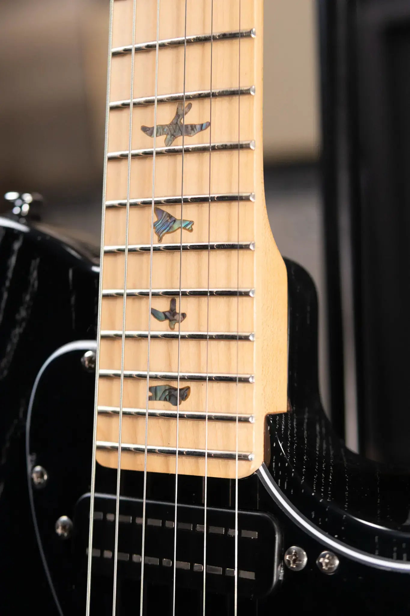 PRS SE NF53 Bolt-On Electric Guitar - Black Doghair with Gig Bag