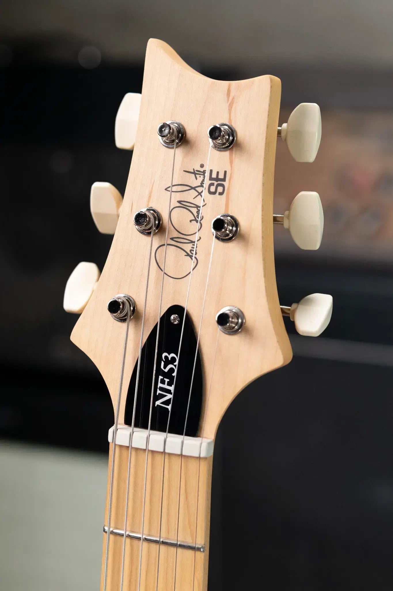 PRS SE NF53 Electric Guitar - Black Doghair with Gig Bag