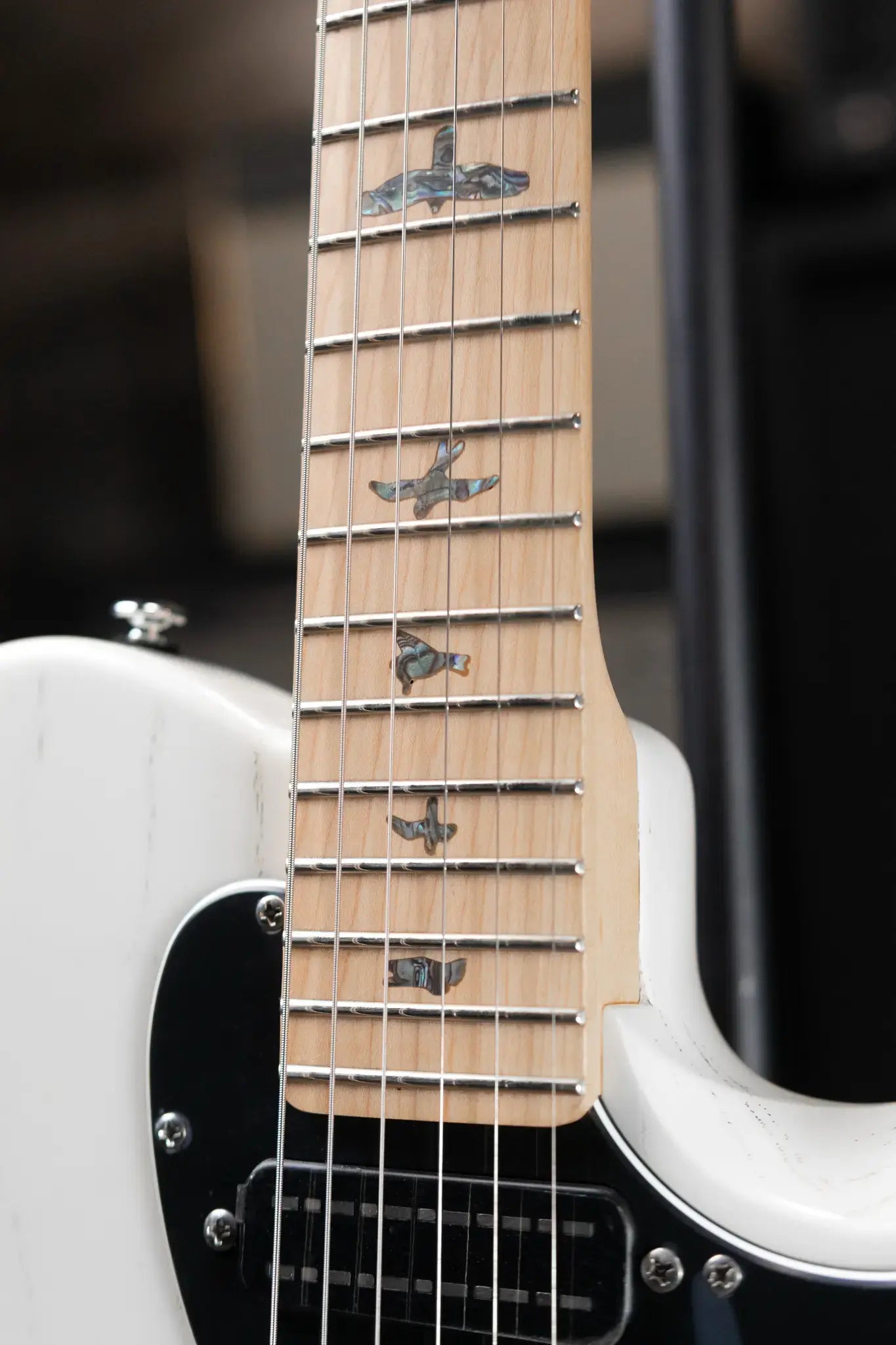 PRS SE NF 53 Electric Guitar - White Doghair with Gig Bag