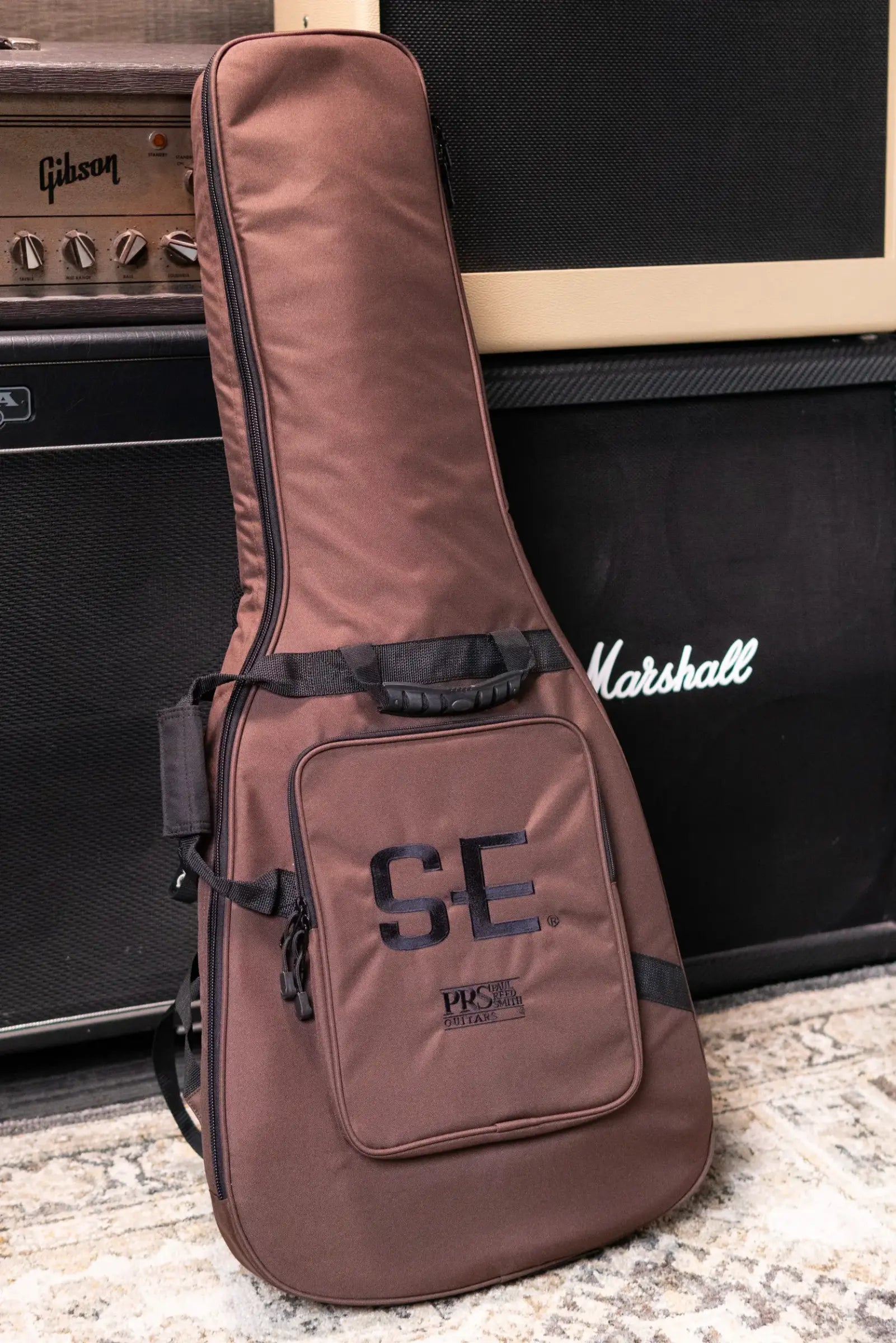 PRS SE Special Semi-hollow Electric Guitar - Lake Blue with Gig Bag