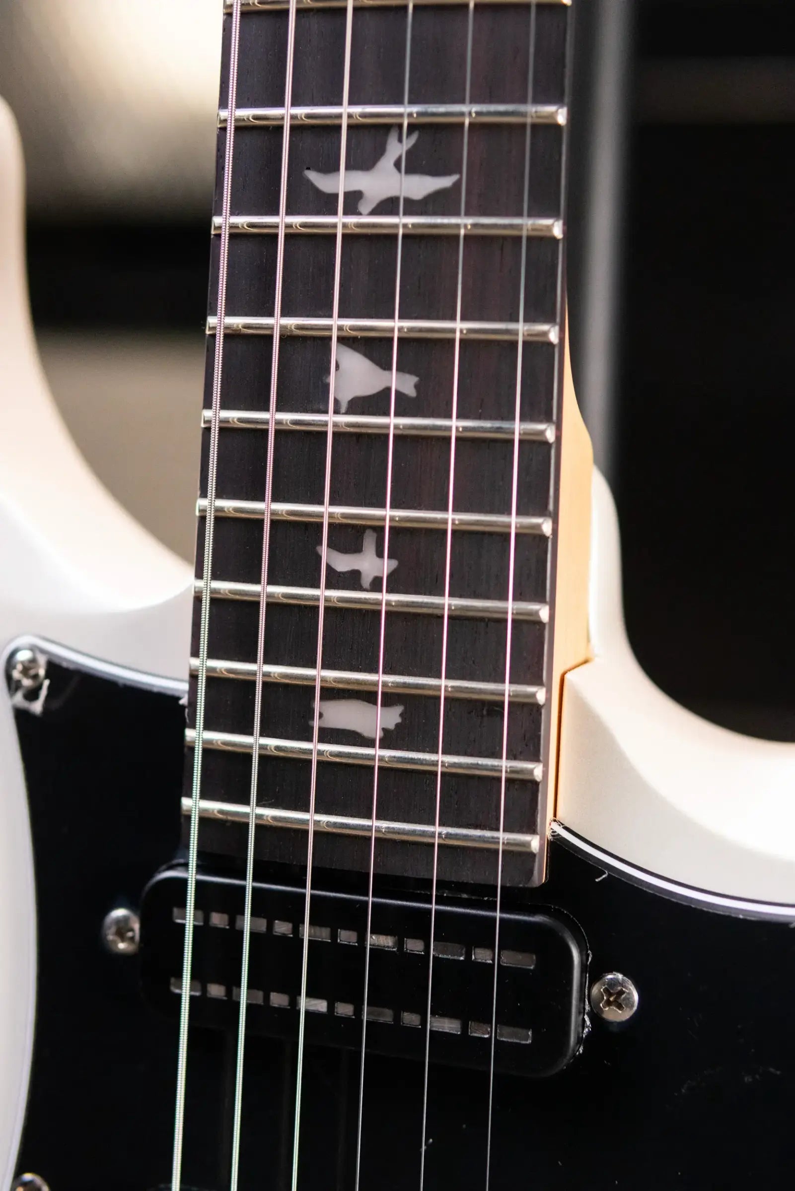 PRS SE Studio Standard Rosewood Electric Guitar - Pearl White with Gig Bag