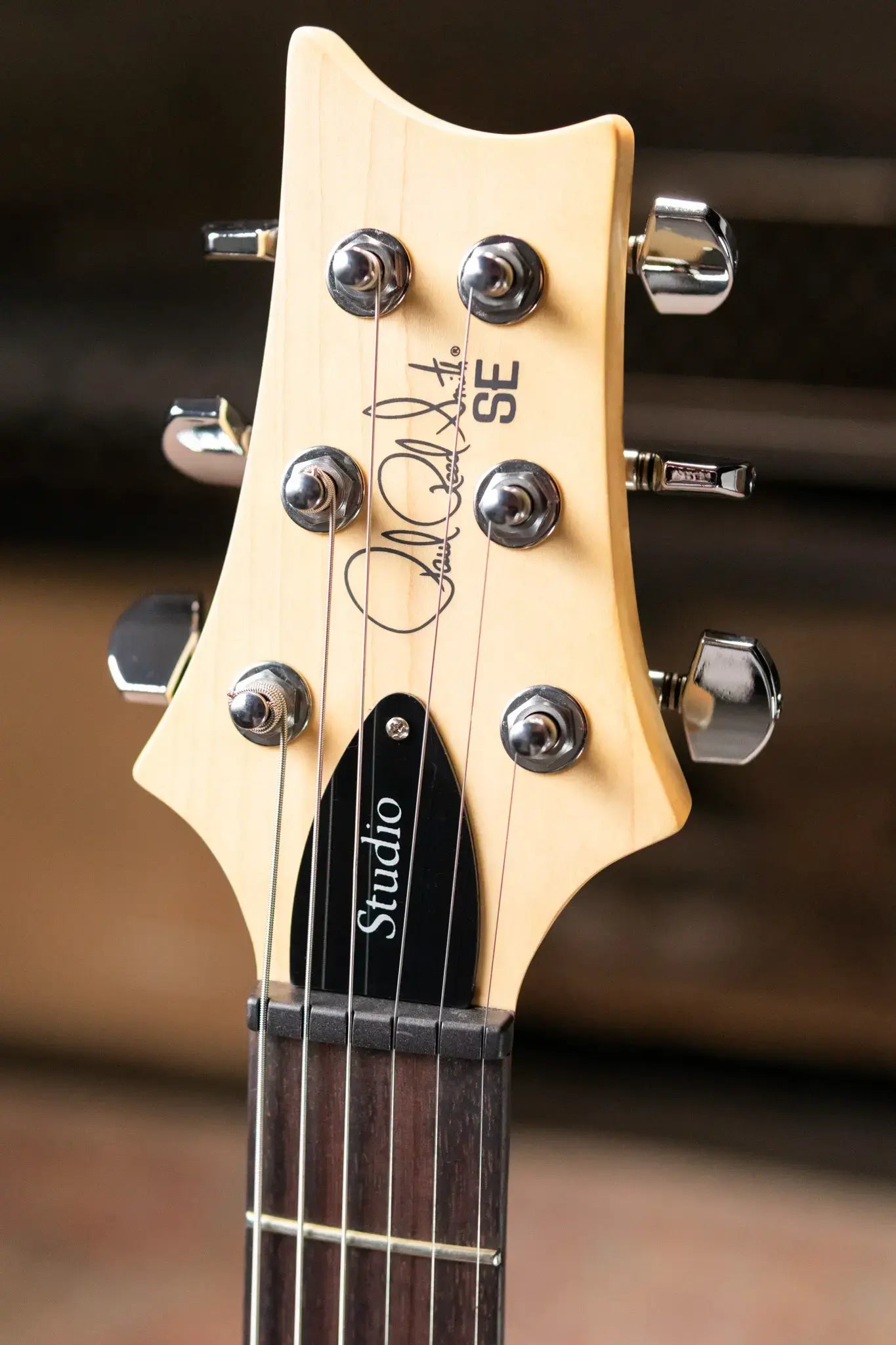 PRS SE Studio Standard Rosewood Electric Guitar - Sage Green with Gig Bag