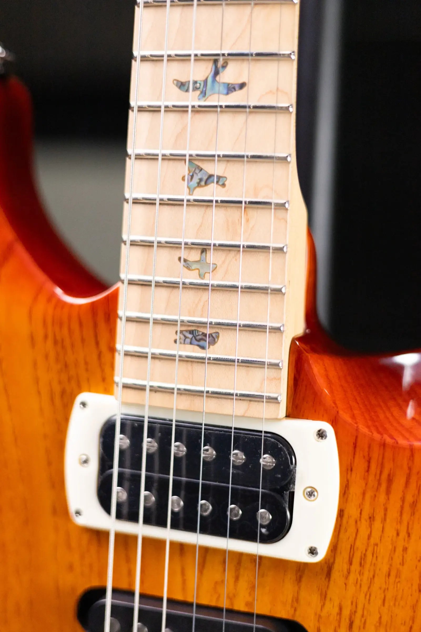 PRS SE Swamp Ash 22 Electric Guitar - Vintage Sunburst with Gig Bag