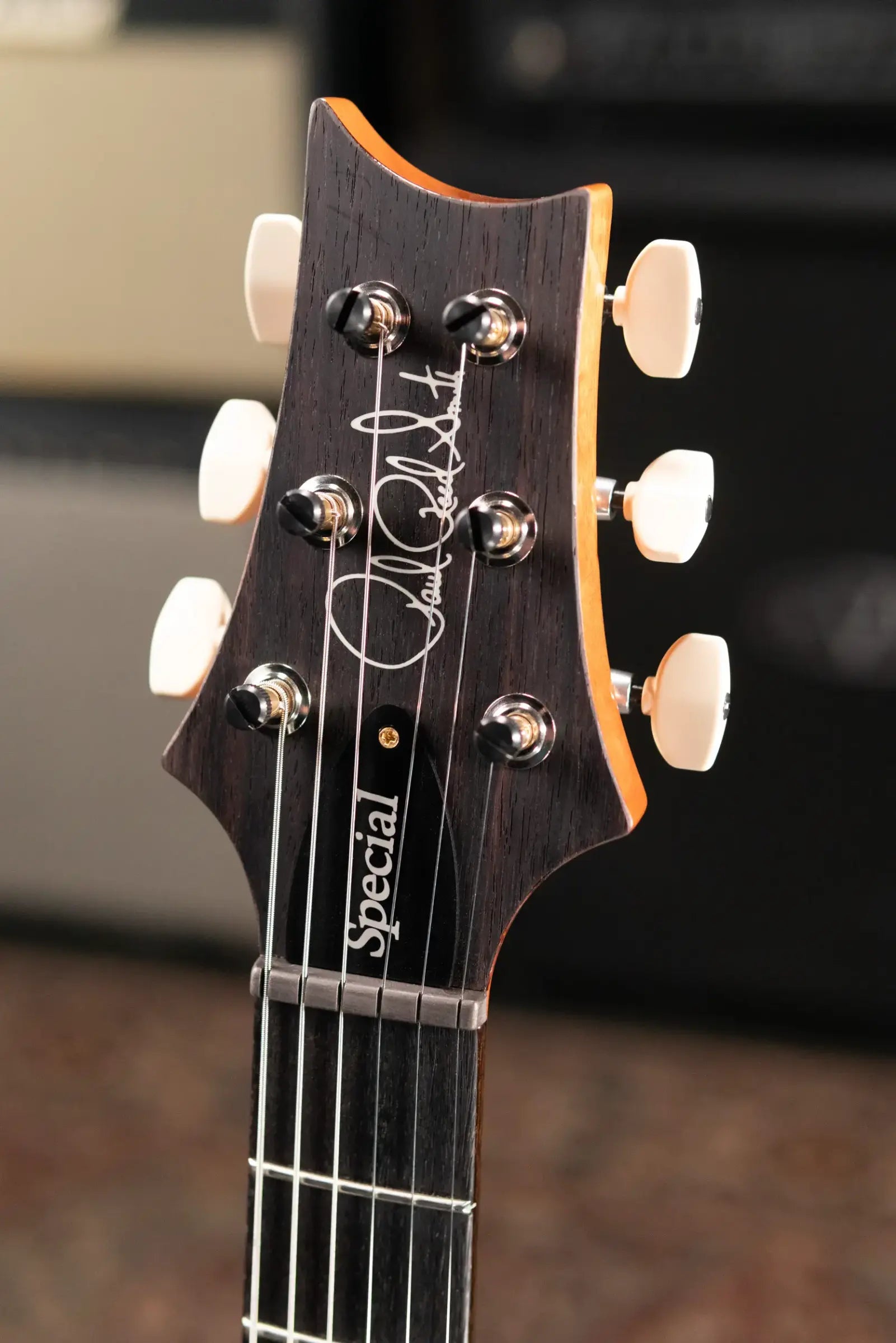 PRS Special Semi-Hollow 10-Top Electric Guitar - Aurora Borealis with Hardshell Case