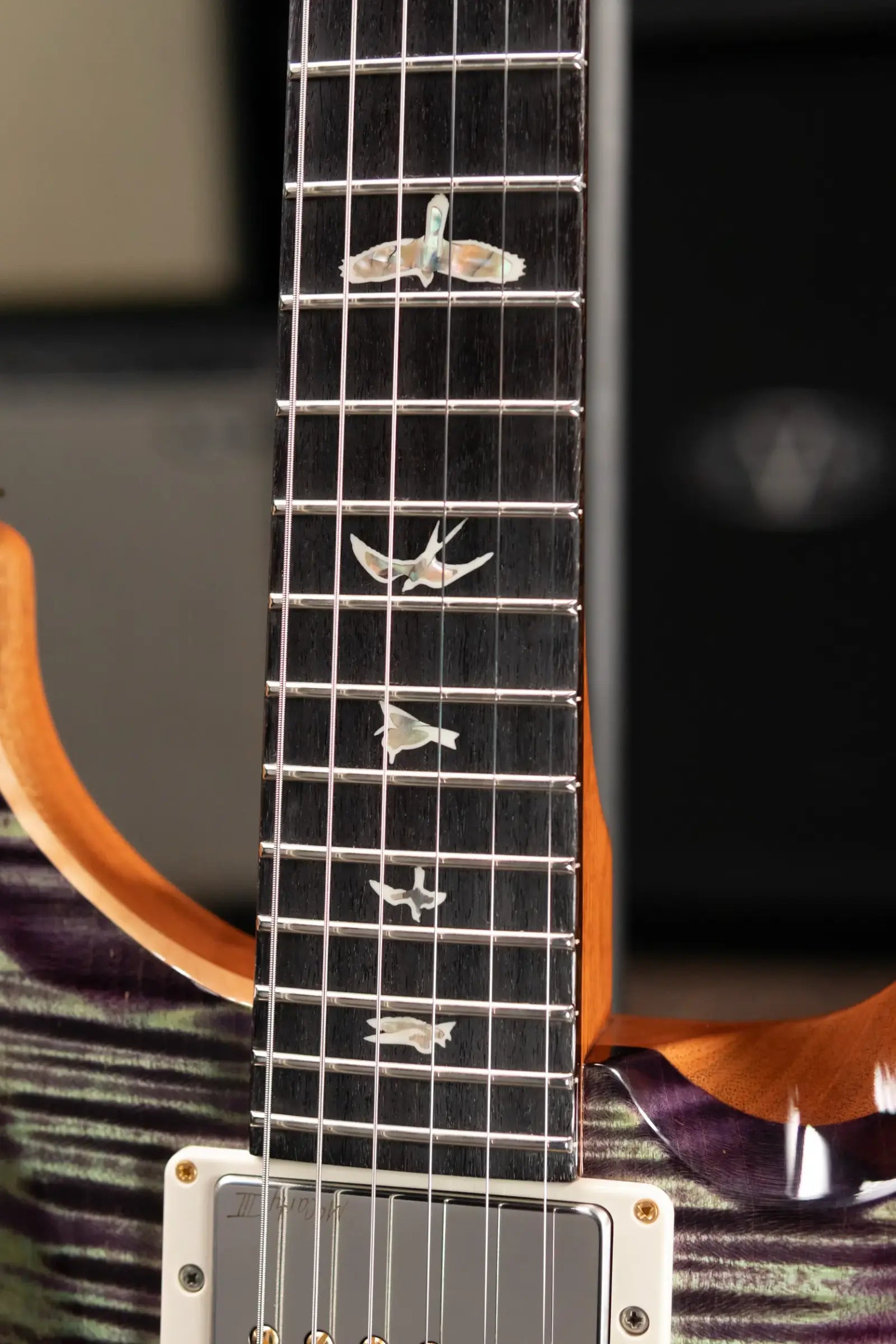 PRS Special Semi-Hollow 10-Top Electric Guitar - Aurora Borealis with Hardshell Case