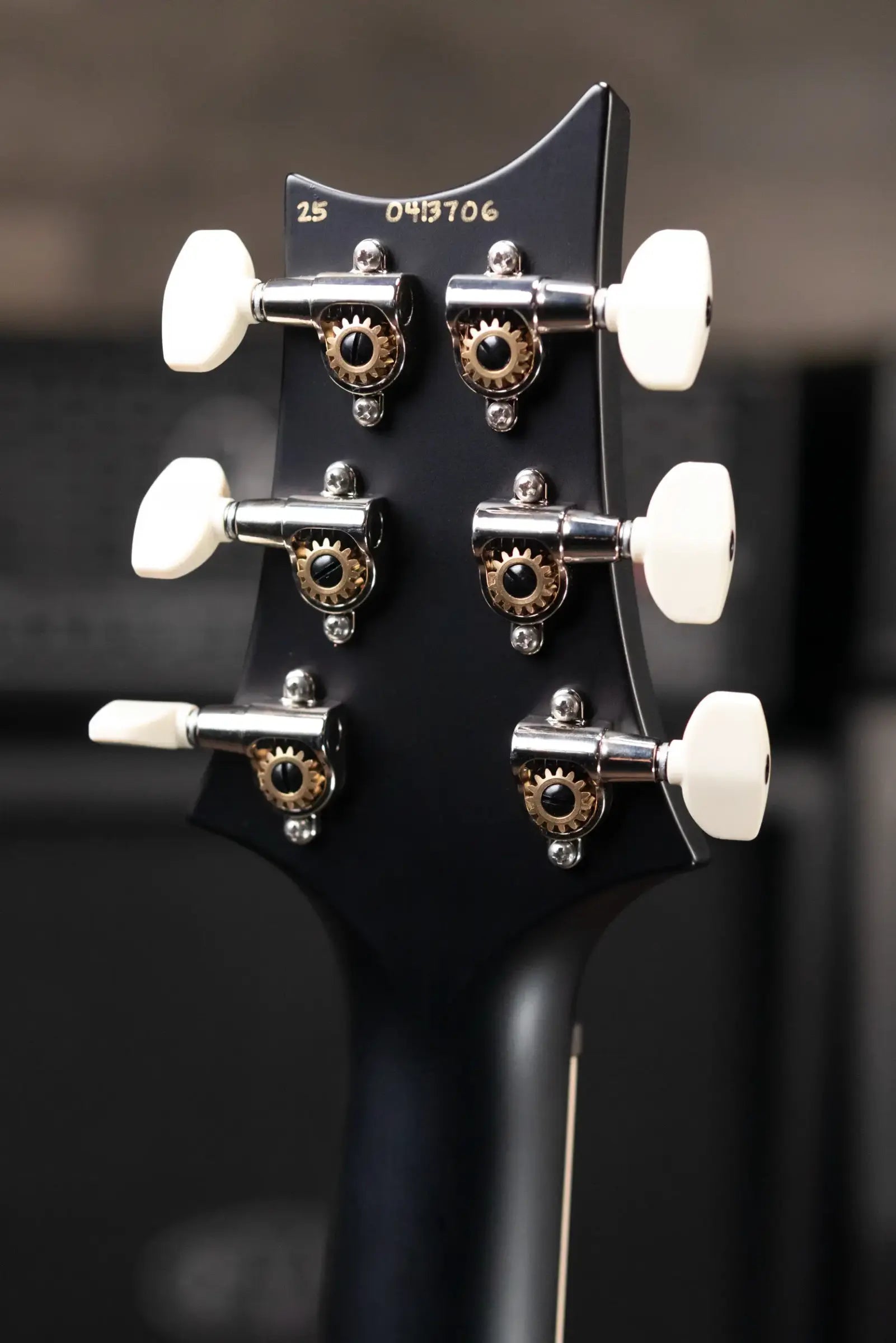 PRS Swamp Ash Special Electric Guitar - Sprayer's Choice with Gig Bag