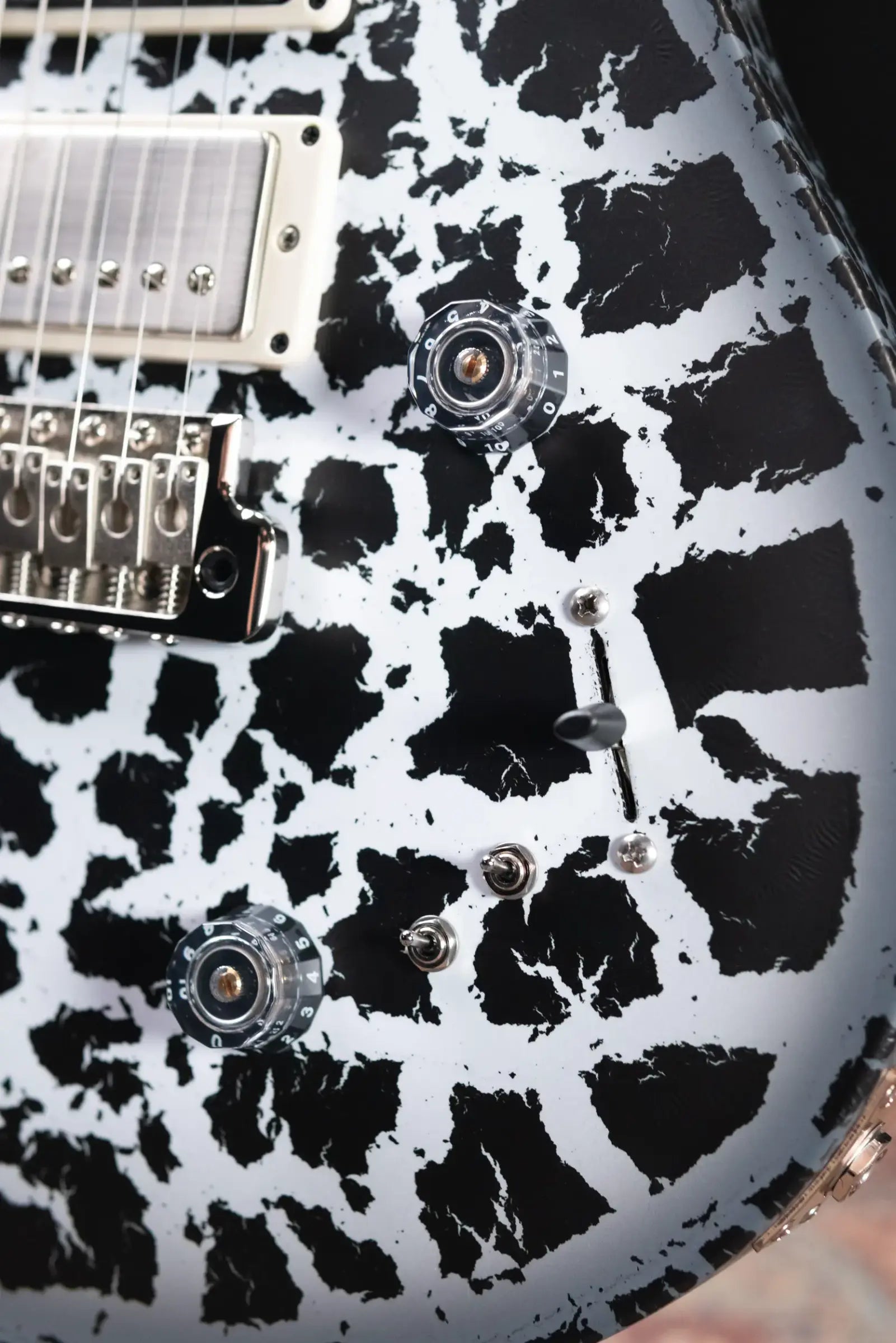 PRS Swamp Ash Special Electric Guitar - Sprayer's Choice with Gig Bag