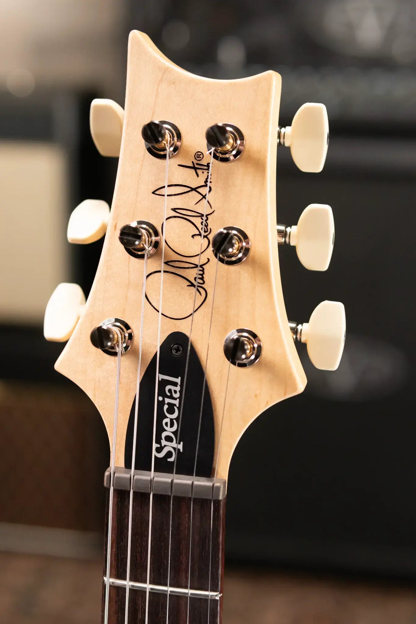 PRS Swamp Ash Special Guitar, Rosewood Fretboard - Black Doghair Smokeburst with Gig Bag