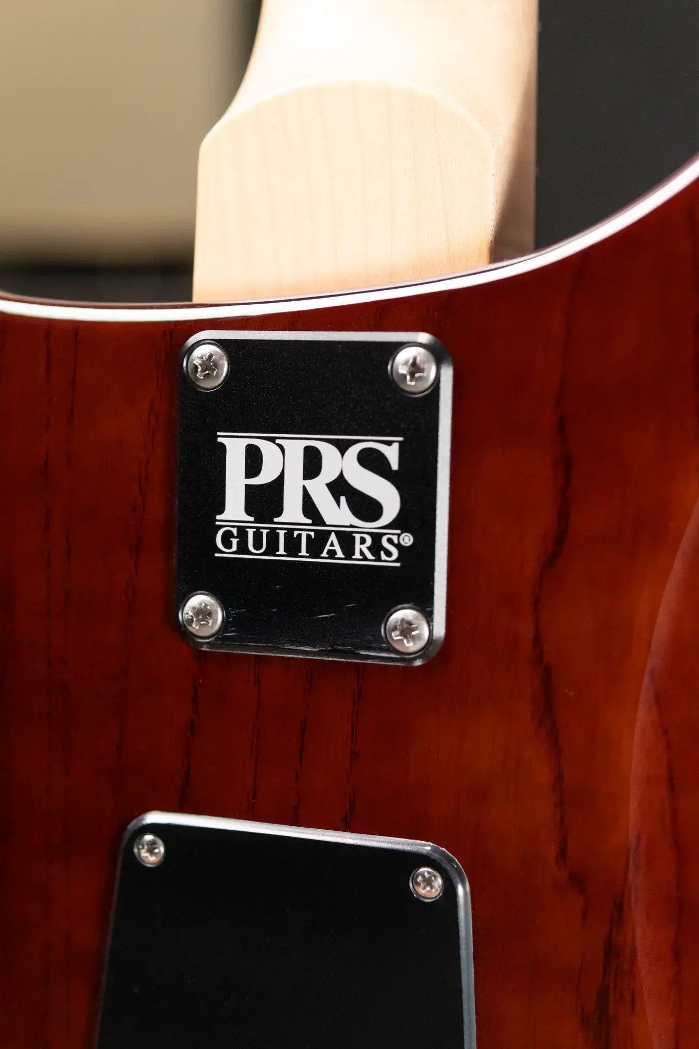 PRS Swamp Ash Special Guitar, Rosewood Fretboard - McCarty Tobacco Sunburst with Gig Bag