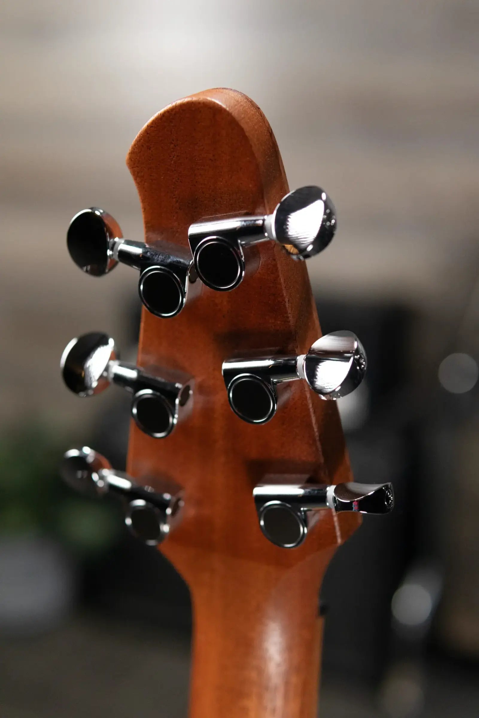 Powers Electric A-Type FF42 Hollow Body Electric Guitar - Willow Green/Java Green Metallic with Gig Bag