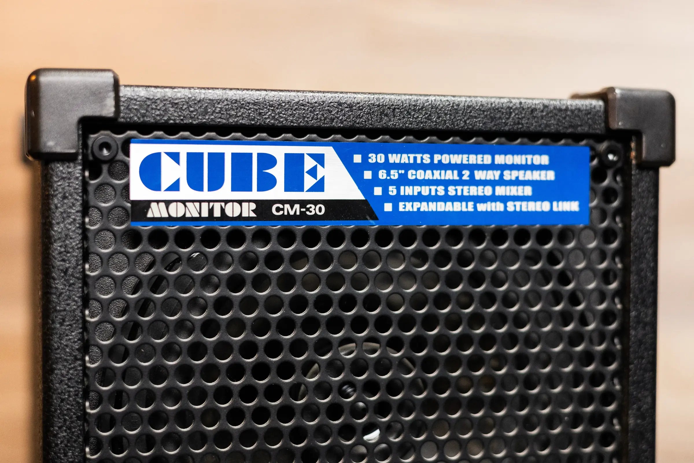 Roland CM-30 Cube Monitor - Used