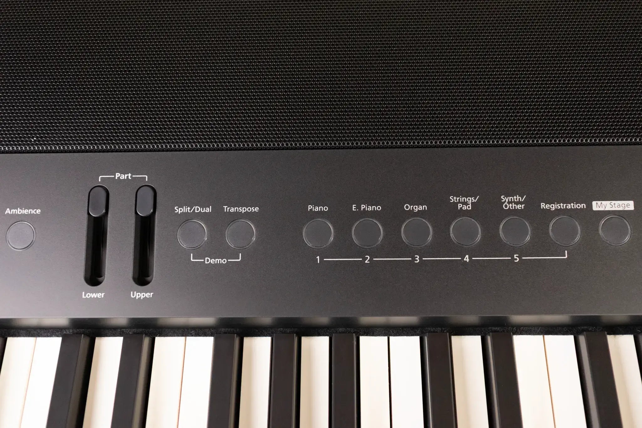 Roland FP-90X Digital Piano - Black