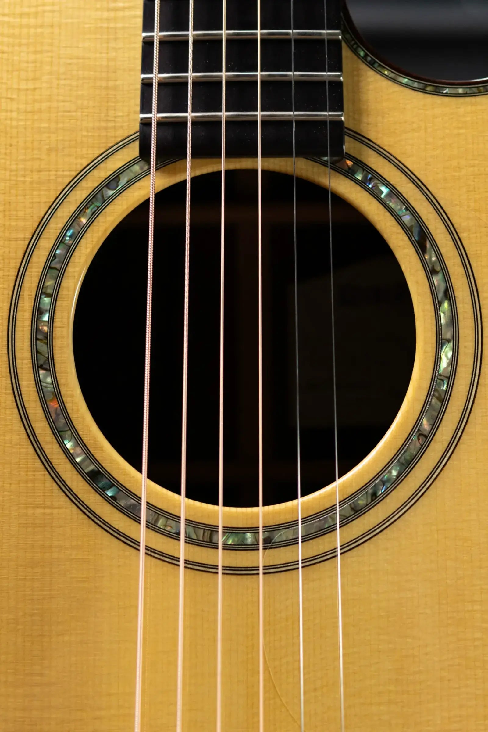 Ryan Guitars Mission Grand Concert Acoustic Guitar - Brazilian Rosewood/Adirondack with Hardshell Case - Used