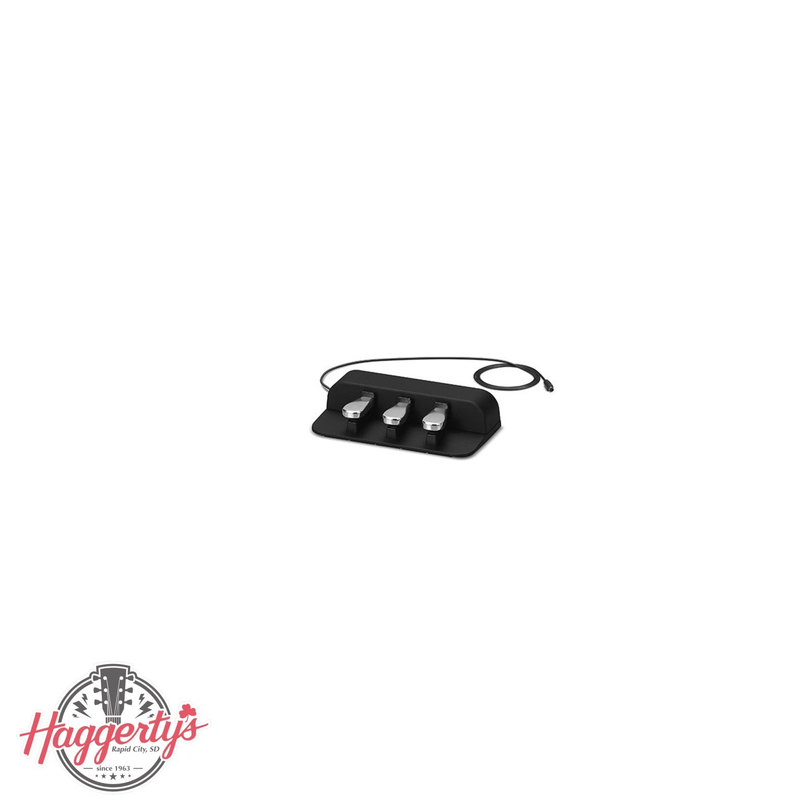 CASIO SP-34 3-Pedal for CDPS350 PXS – Haggerty's Music Inc