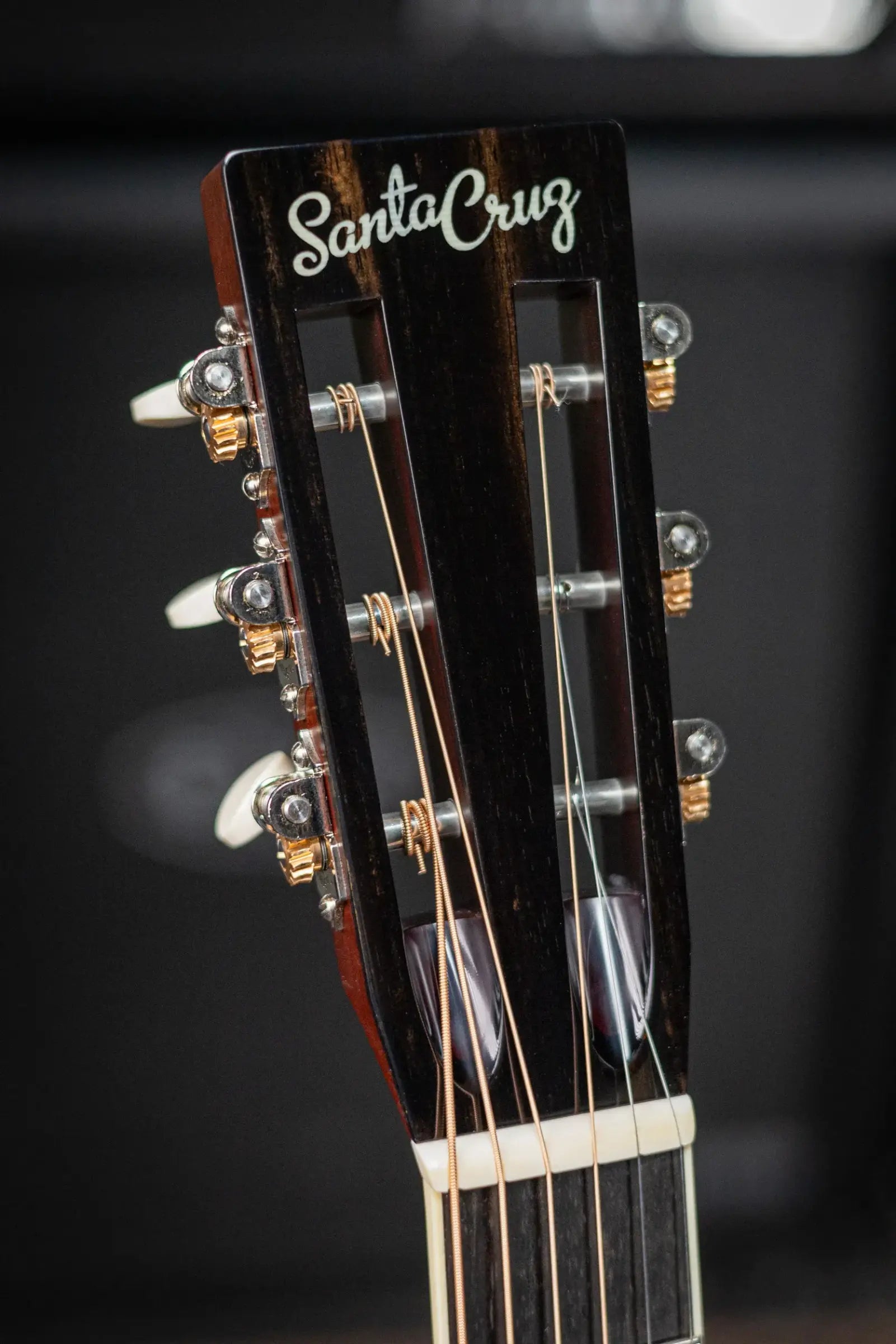 Santa Cruz H13 Acoustic Guitar - Bearclaw German Spruce/African Blackwood with Hardshell Case