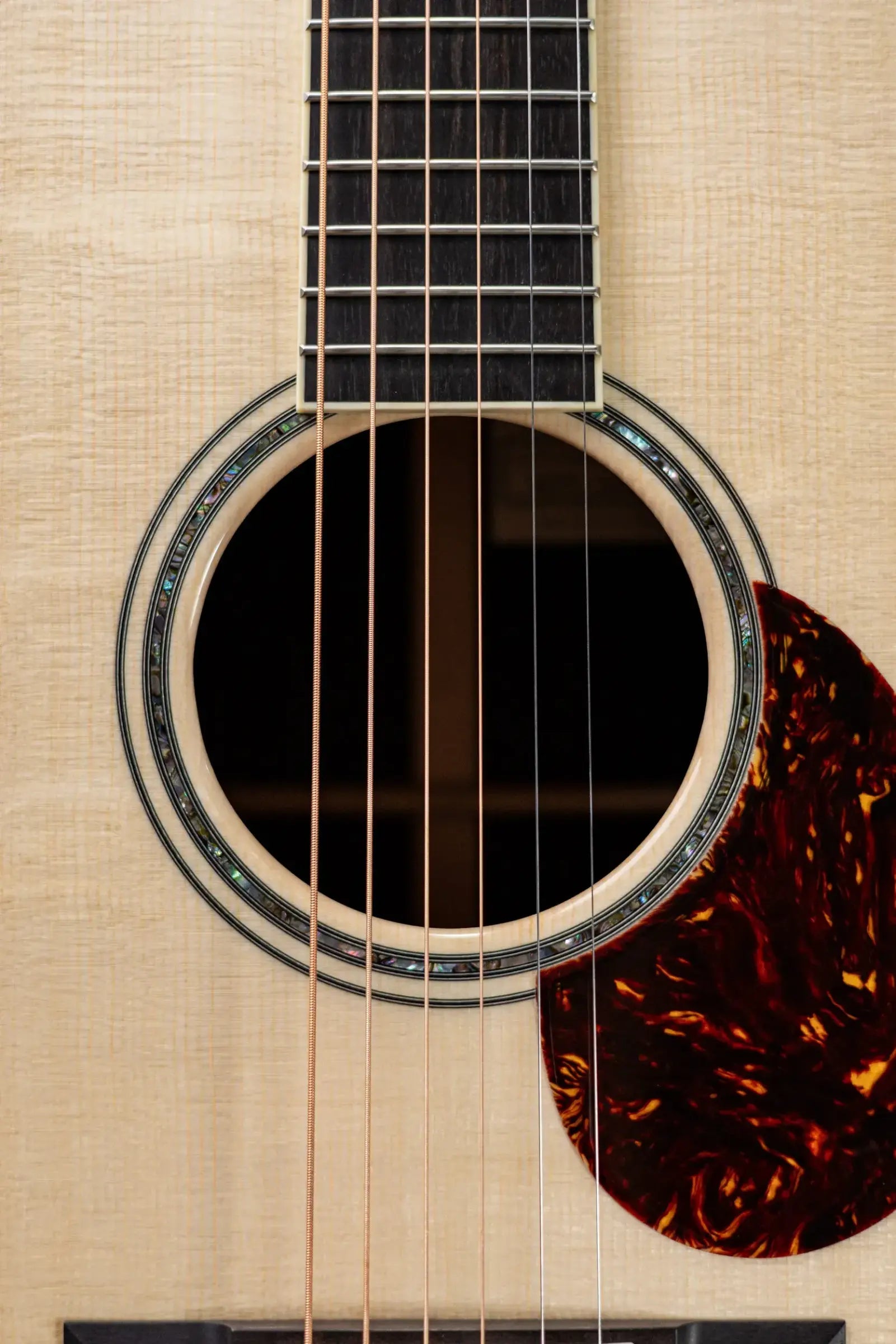 Santa Cruz H13 Acoustic Guitar - Bearclaw German Spruce/African Blackwood with Hardshell Case