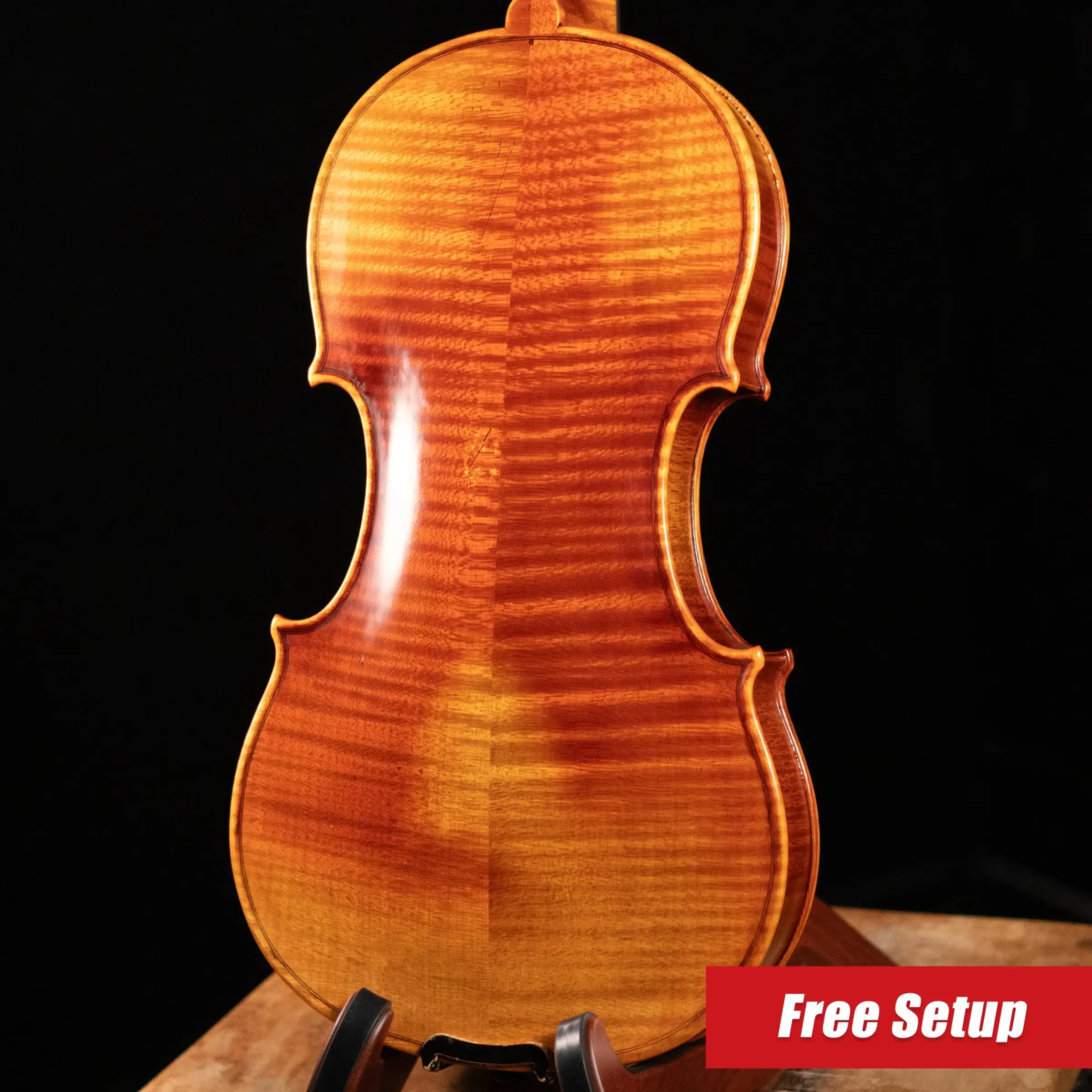 Scott Cao STV-750E Il Cannone 1743 Guarn 2-Piece Back Violin - 4/4