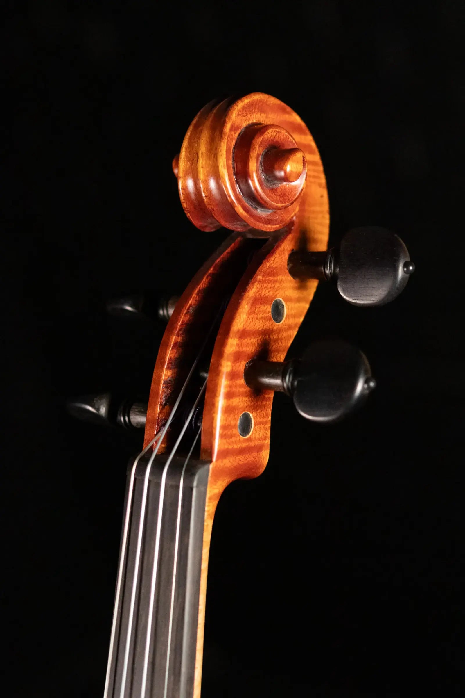 Scott Cao STV-750E Il Cannone 1743 Guarn 2-Piece Back Violin - 4/4