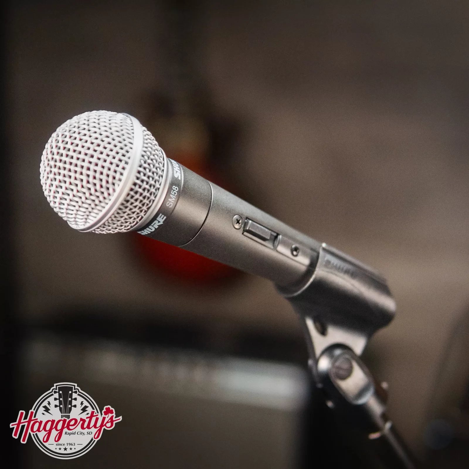 Shure SM58S Microphone with Switch