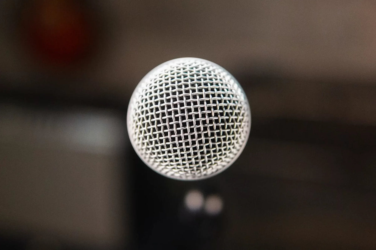 Shure SM58S Microphone w Switch haggertys 2