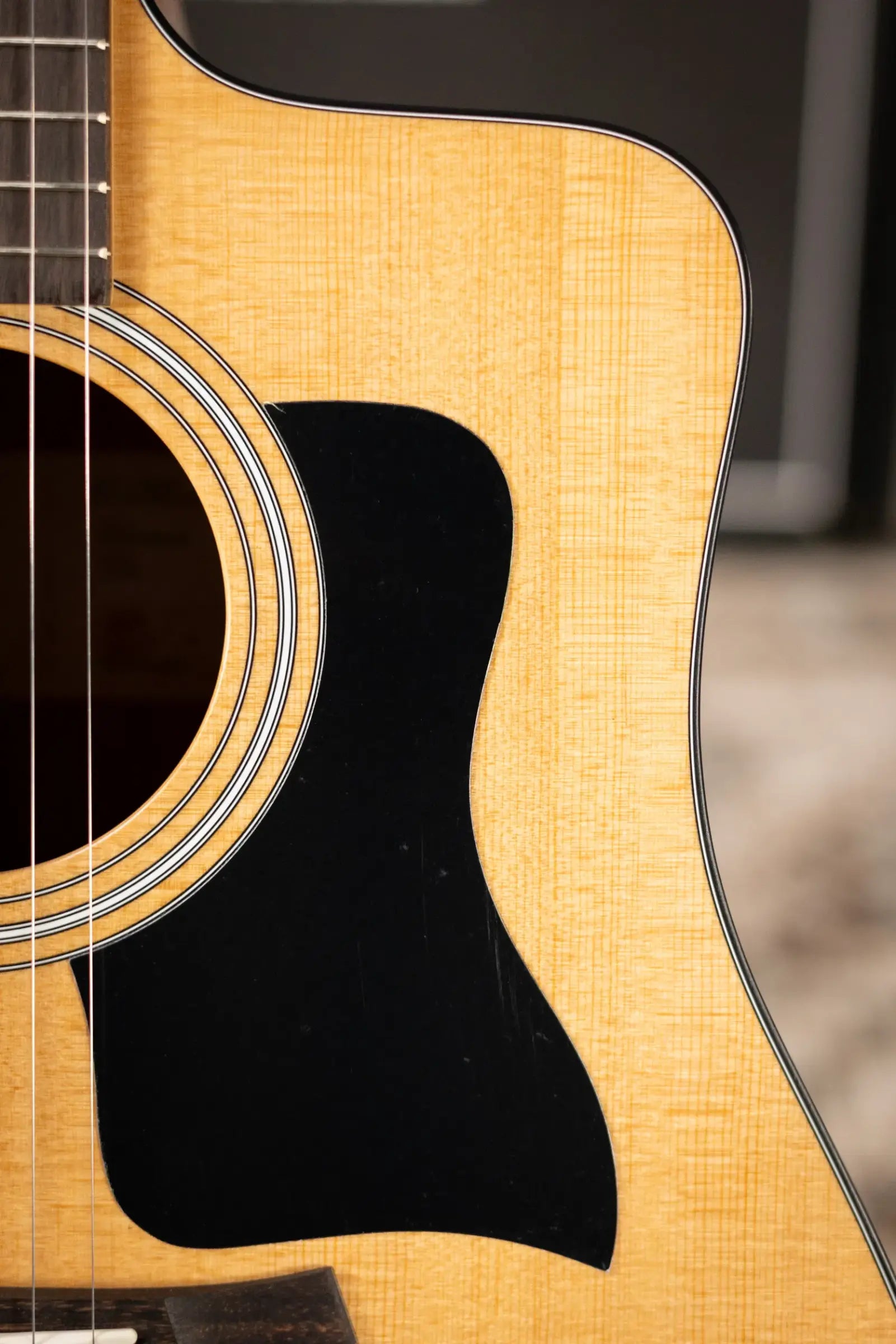 Taylor 110ce Dreadnought Acoustic/Electric Guitar - Solid Torrefield Spruce with Gig Bag