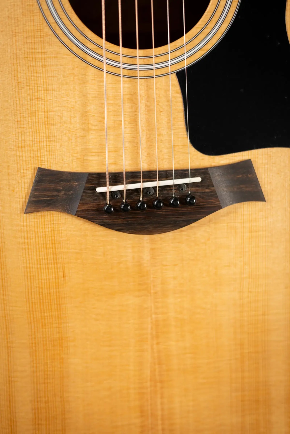 Taylor 110ce Dreadnought Acoustic/Electric Guitar - Solid Torrefield Spruce with Gig Bag - Factory Demo